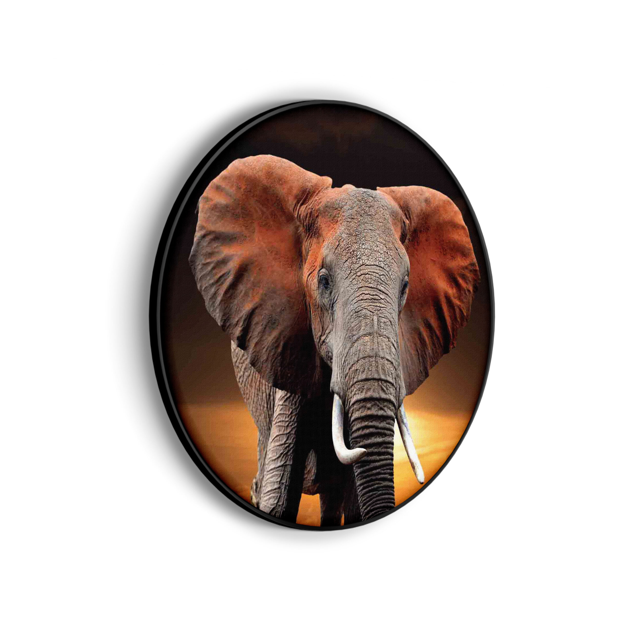 Akoestisch Schilderij Olifant met Zonsondergang Rond - Muurcirkel Template Vierkant Rond dieren 53 scaled 1
