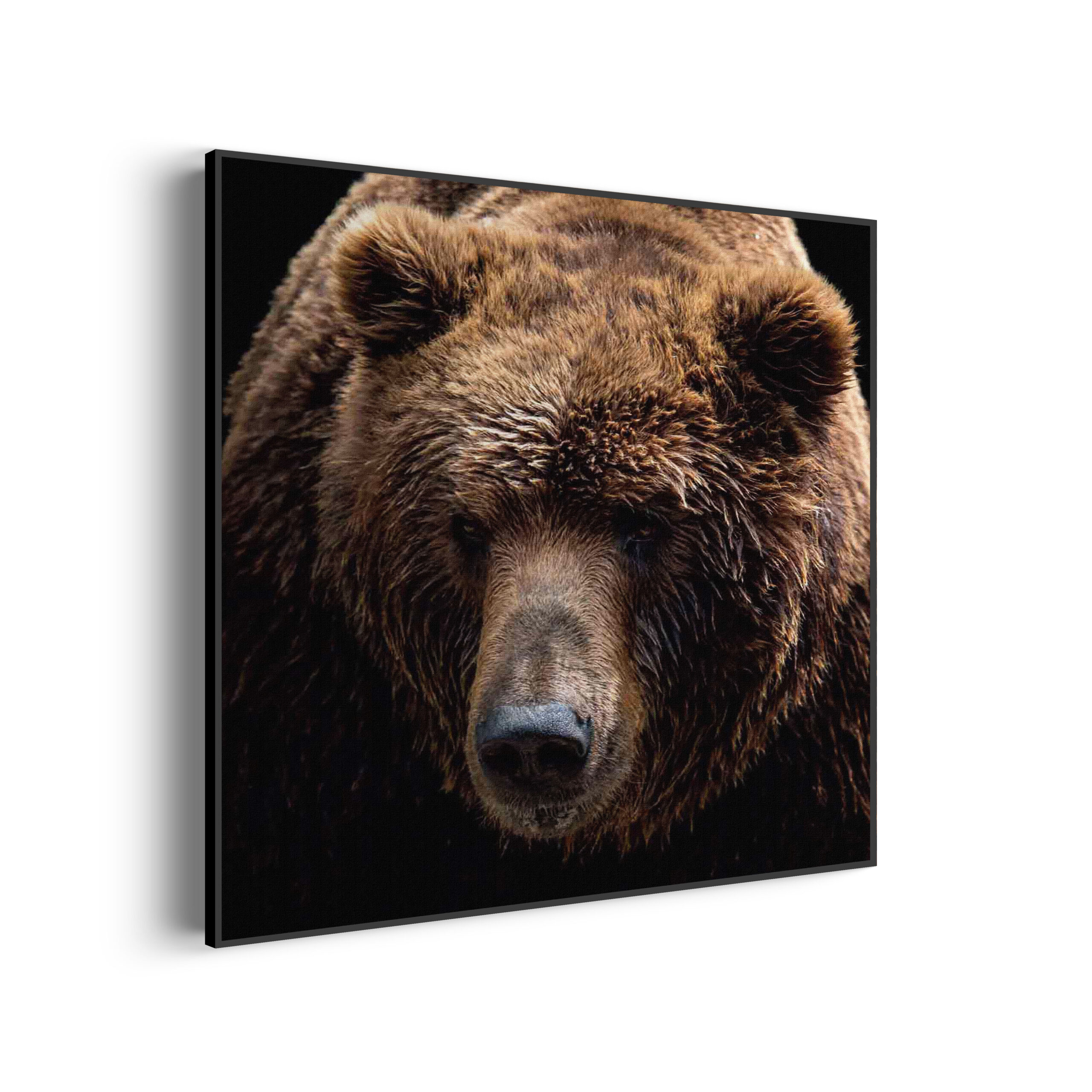 Template_Vierkant_Rond_dieren_55-3-scaled Akoestisch Schilderij De Bruine Beer Vierkant Template Vierkant Rond dieren 55 3 scaled 1