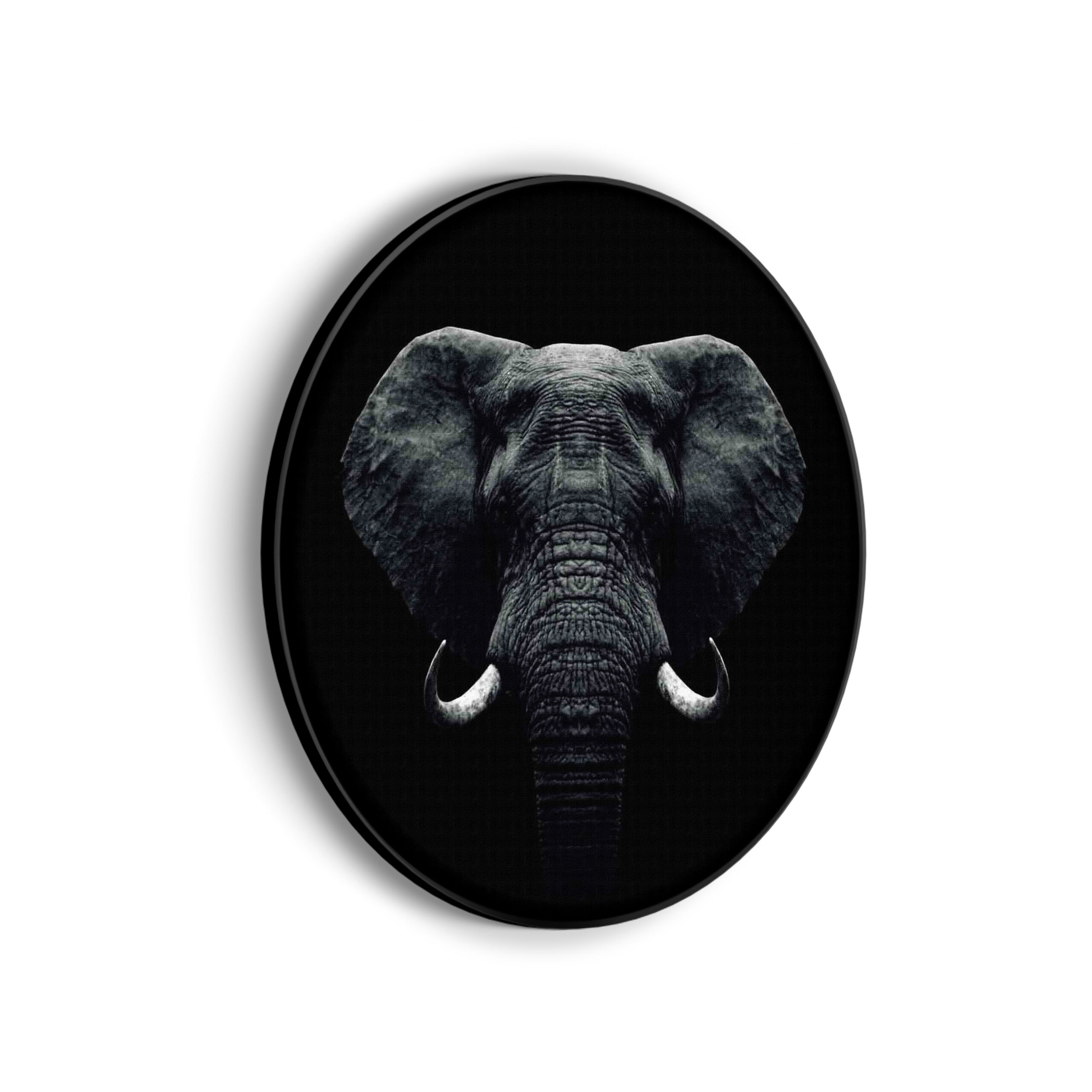 Akoestisch Schilderij Olifant Zwart Wit Rond - Muurcirkel Template Vierkant Rond dieren 56 scaled 1