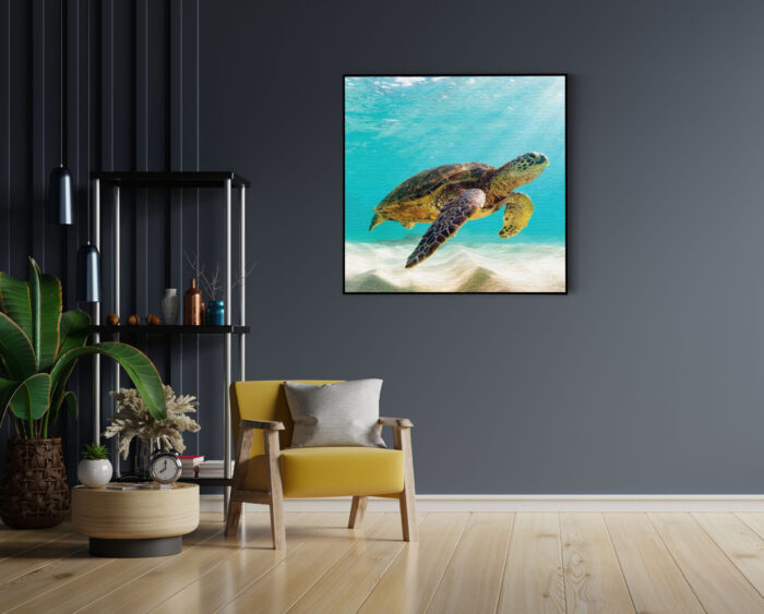 Akoestisch Schilderij Zeeschildpad In Helderblauw Water 04 Vierkant Template Vierkant Rond dieren 58 4 scaled 1