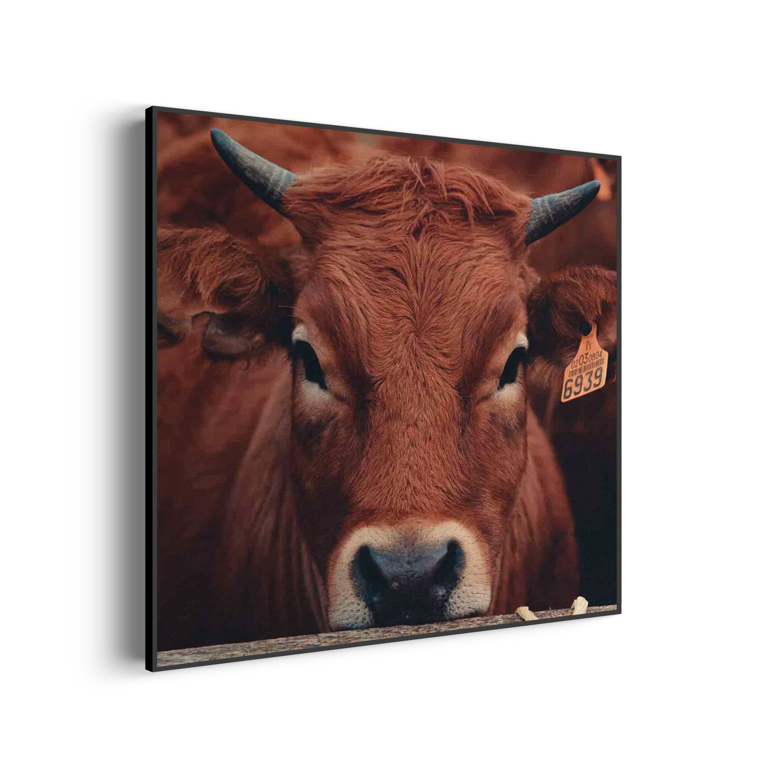 Akoestisch Schilderij De Gemerkte Stieren Vierkant Template Vierkant Rond dieren 6 3 scaled 1