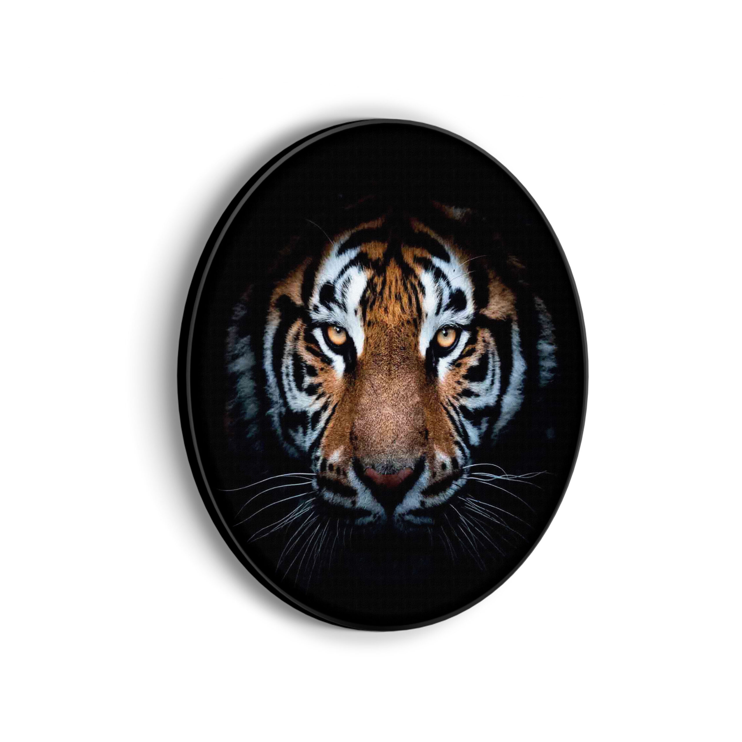 Akoestisch Schilderij De Gevaarlijke Tijger Rond - Muurcirkel Template Vierkant Rond dieren 62 scaled 1