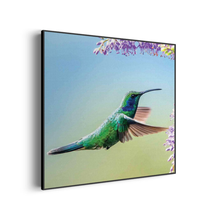 Akoestisch Schilderij Colibri Onderweg Naar Lavendel Vierkant Template Vierkant Rond dieren 66 3 scaled 1