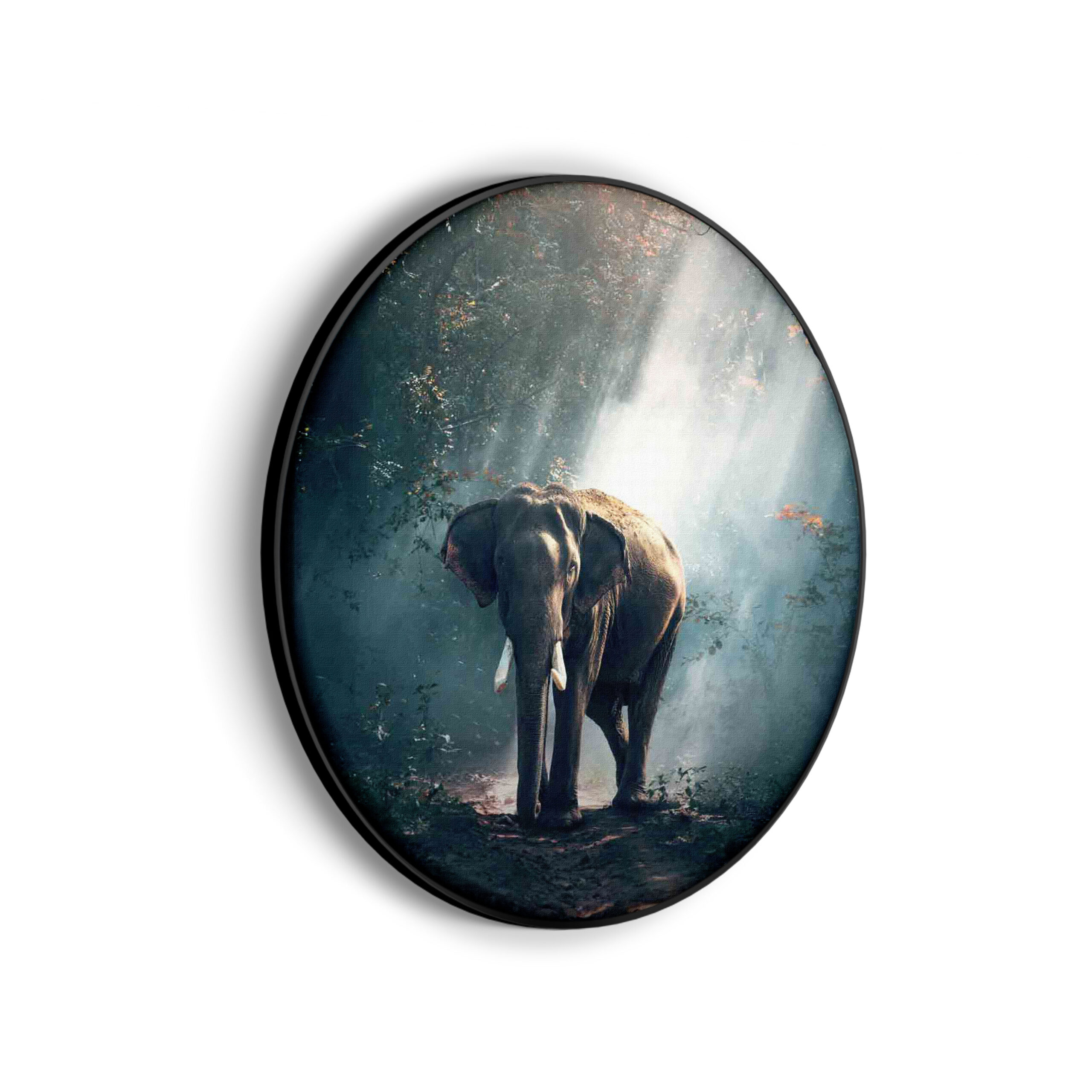 Akoestisch Schilderij Olifant Zwart Wit Rond - Muurcirkel Template Vierkant Rond dieren 69 scaled 1