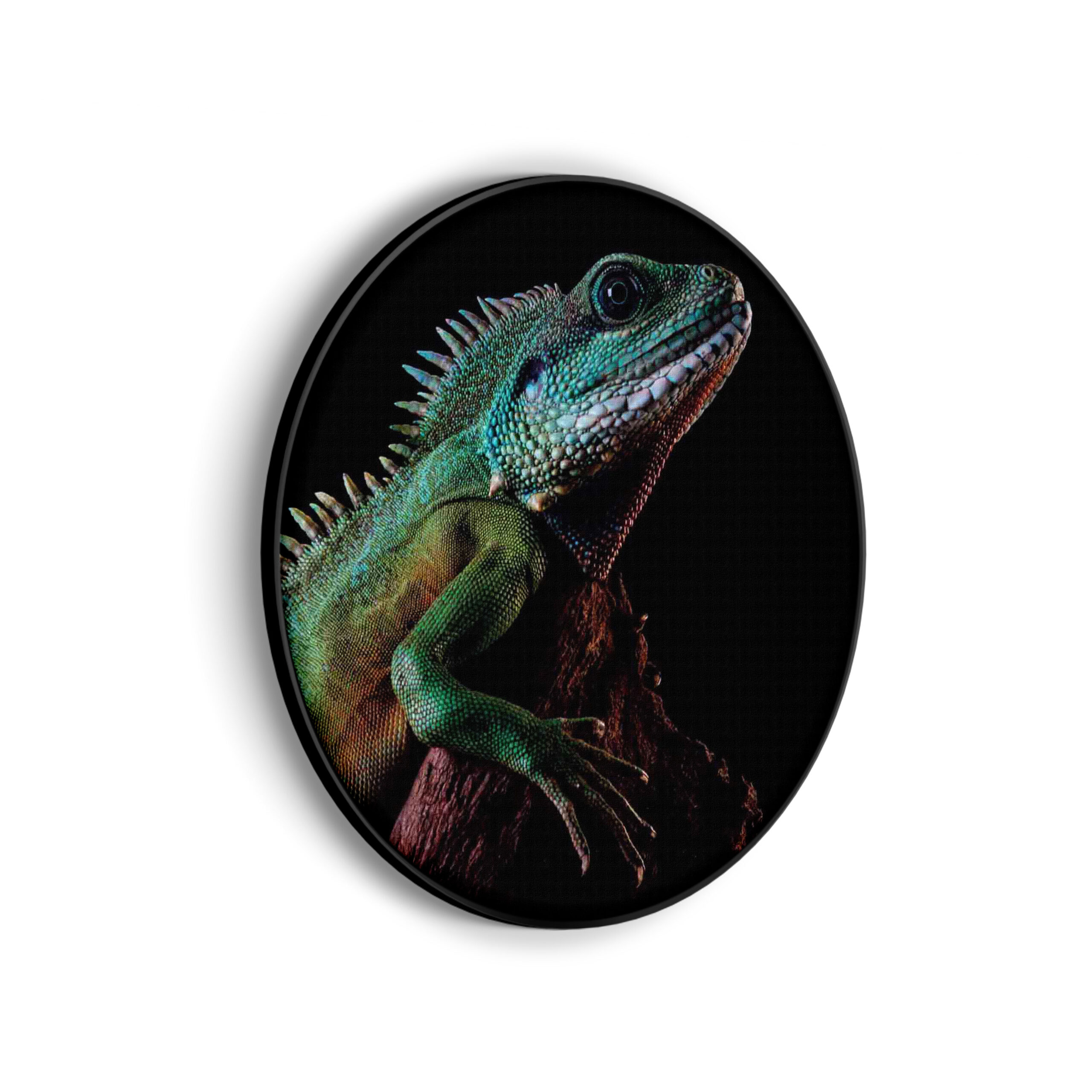 Akoestisch Schilderij De Groene Kameleon Rond - Muurcirkel Template Vierkant Rond dieren 73 scaled 1