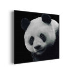 Akoestisch Schilderij Pandabeer Zwart Wit 02 Vierkant Template Vierkant Rond dieren 74 3 scaled 1