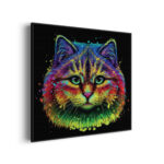 Akoestisch Schilderij Colored Cat Vierkant Template Vierkant Rond dieren 76 3 scaled 1