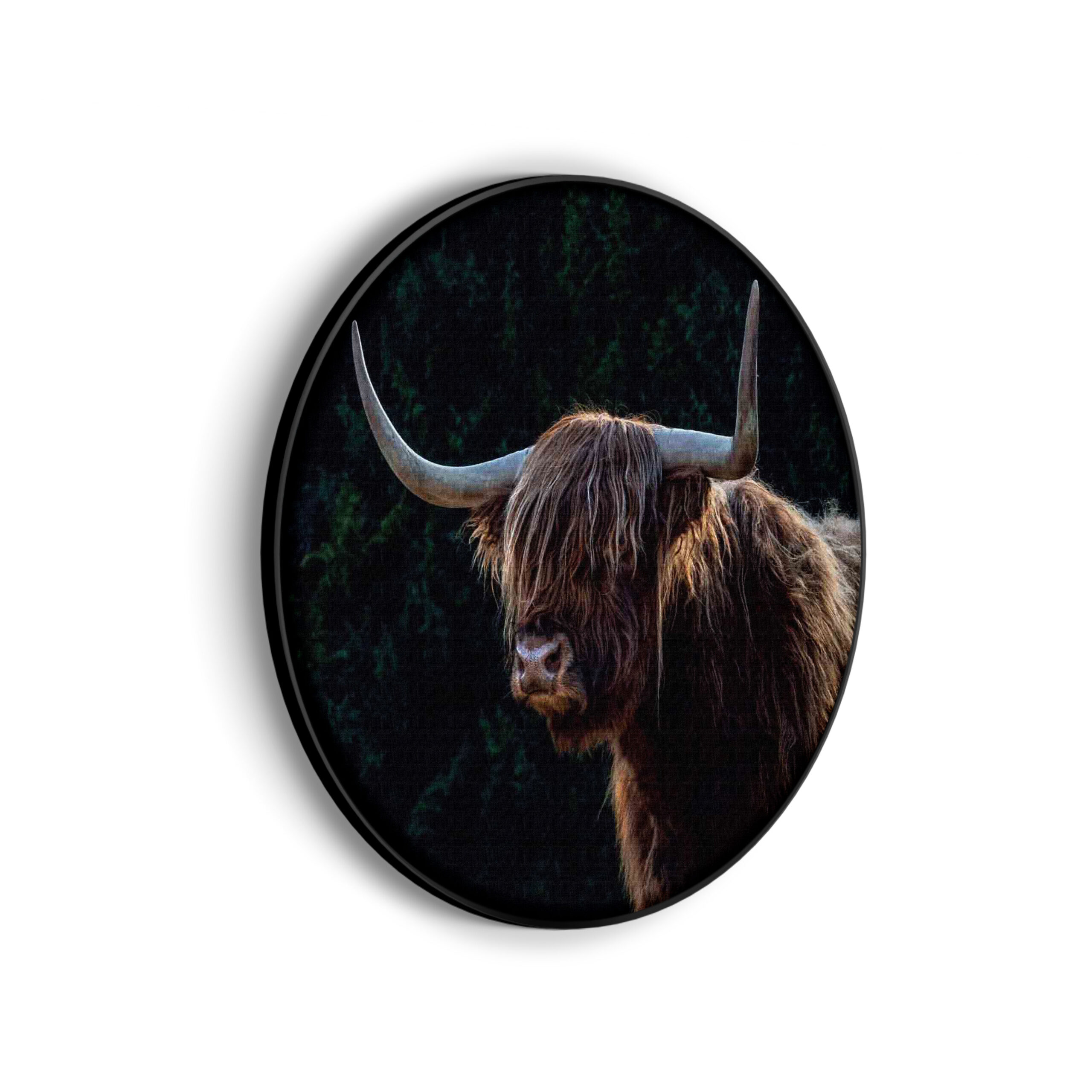 Akoestisch Schilderij Pandabeer Zwart Wit 02 Rond - Muurcirkel Template Vierkant Rond dieren 79 scaled 1