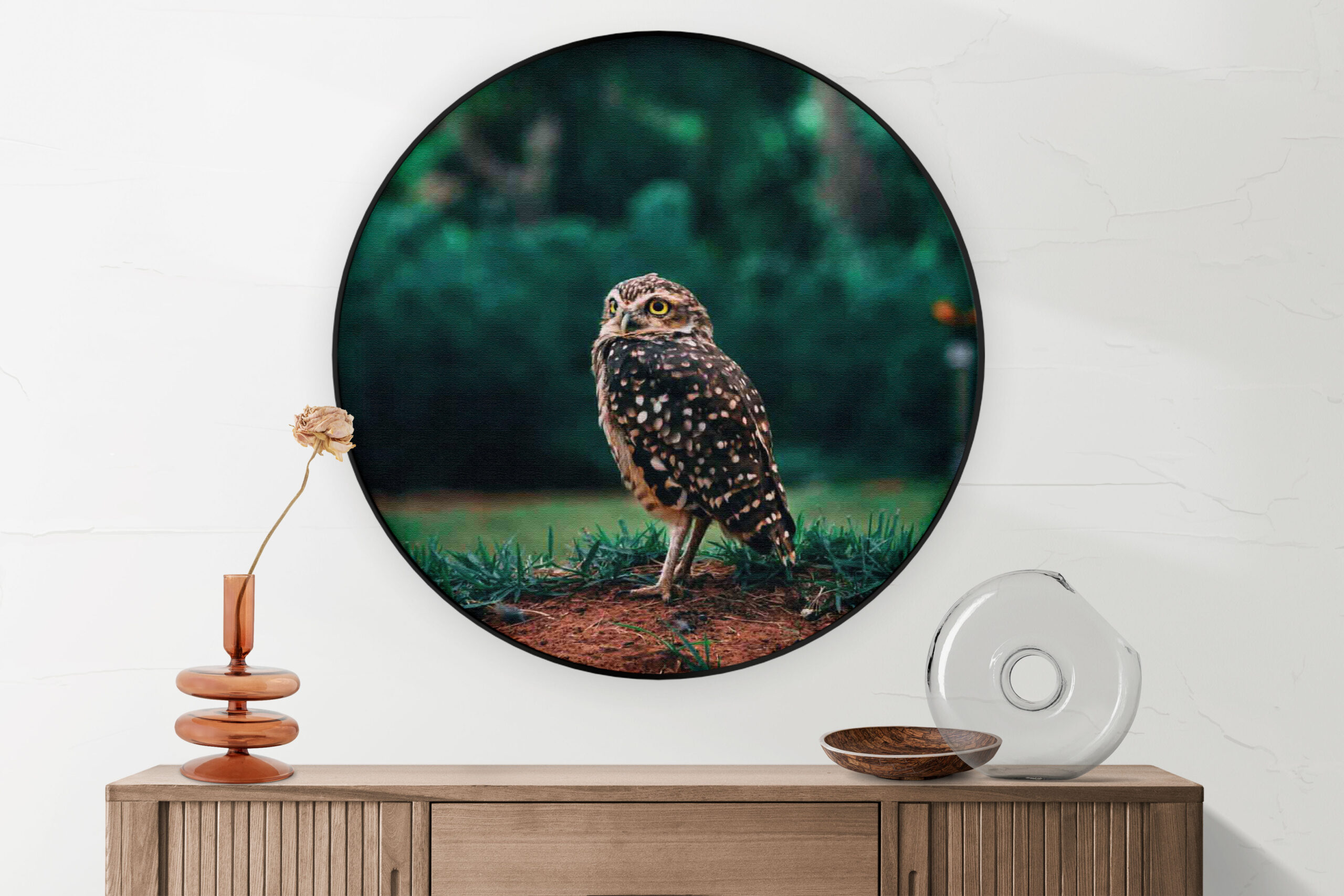 Akoestisch Schilderij Uil In De Natuur Rond - Muurcirkel Template Vierkant Rond dieren 9 2 scaled 1
