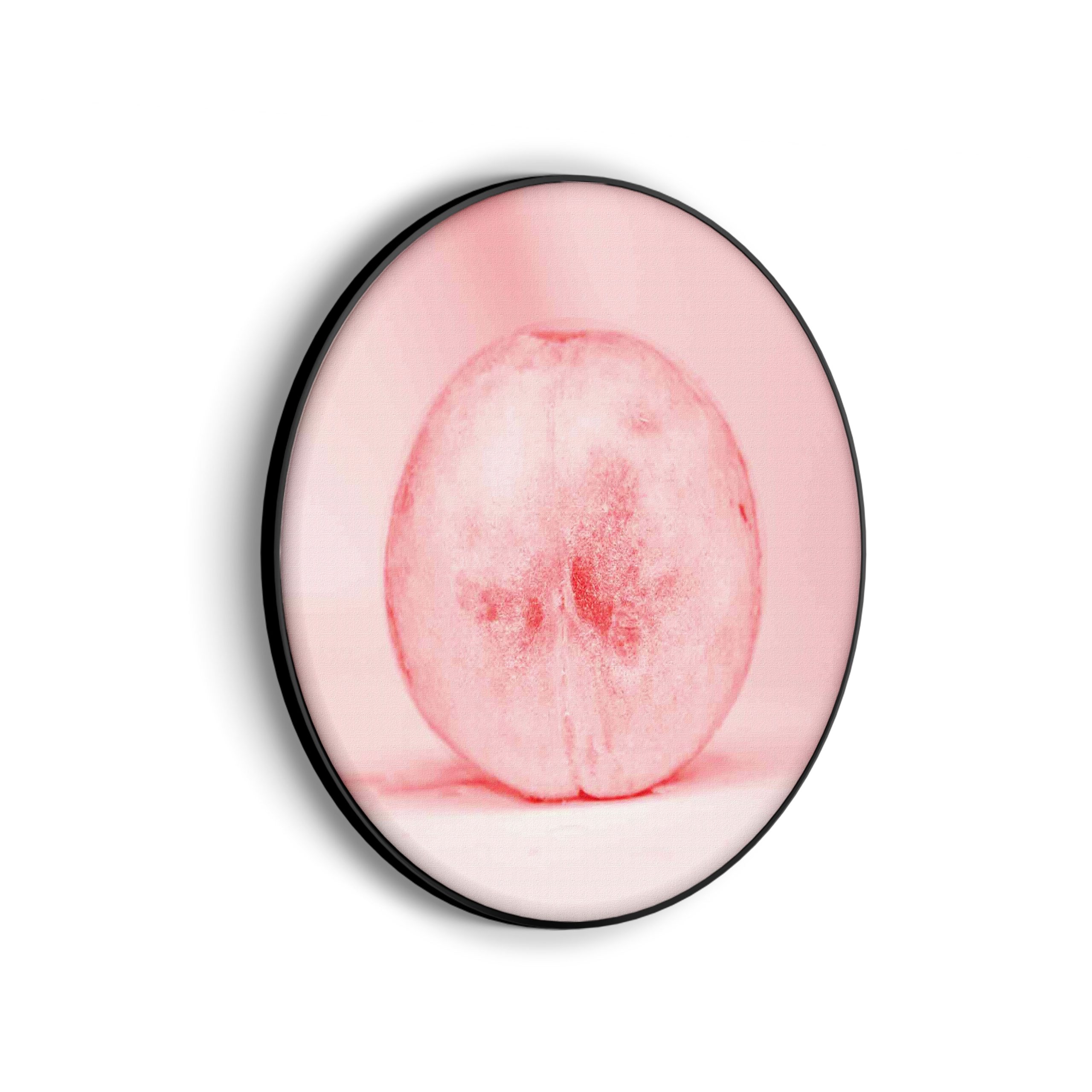 Akoestisch Schilderij Radijsje Roze Rond - Muurcirkel Template Vierkant Rond eten en drinken 1 scaled 1