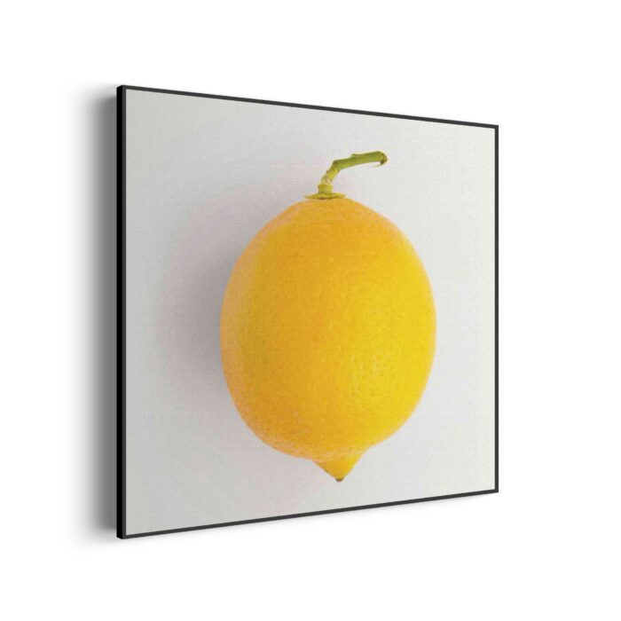Akoestisch Schilderij Lemon Citroen Vierkant Template Vierkant Rond eten en drinken 7 1 3 scaled 1