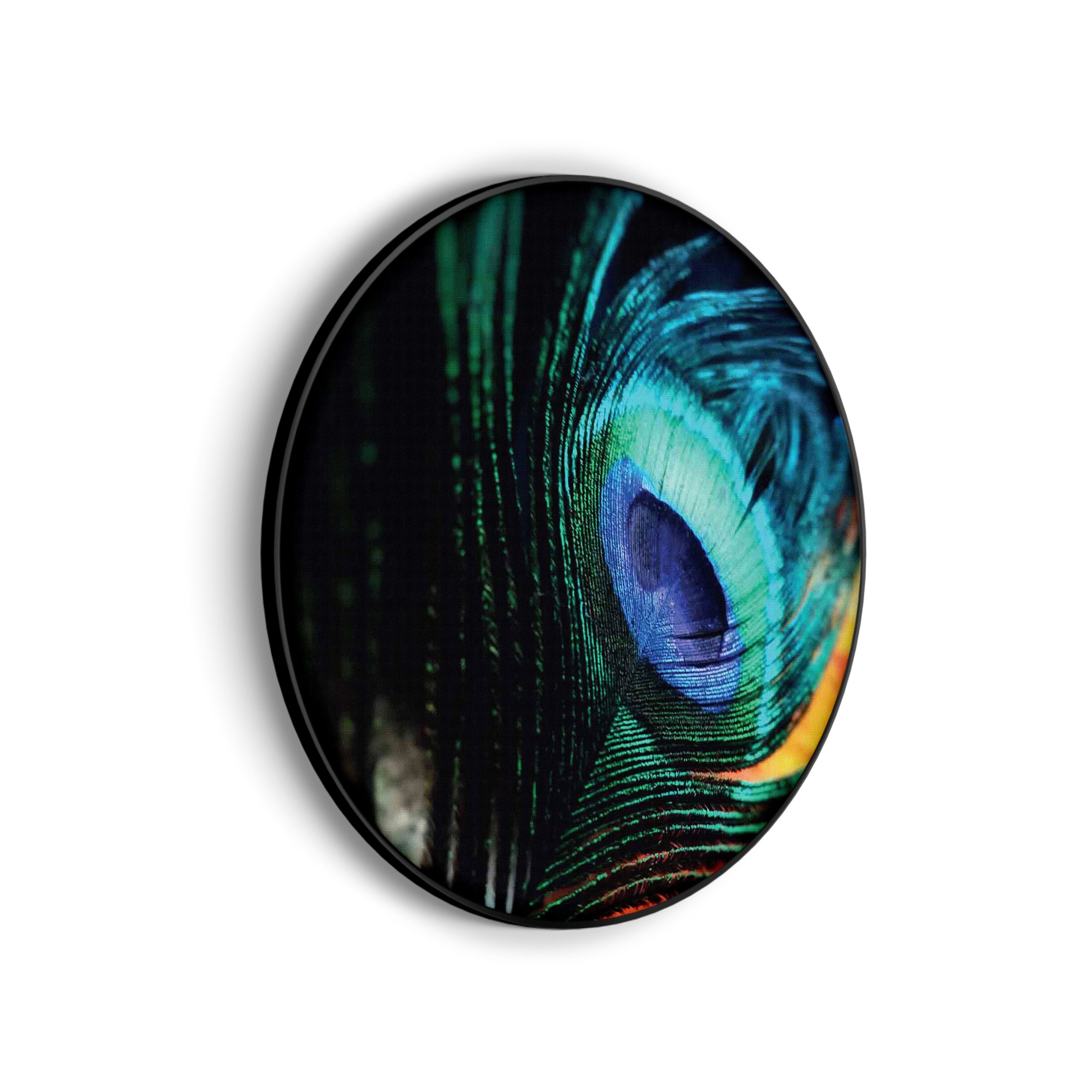 Akoestisch Schilderij Een veer van de Pauw Rond - Muurcirkel Template Vierkant Rond natuur 11 scaled 1