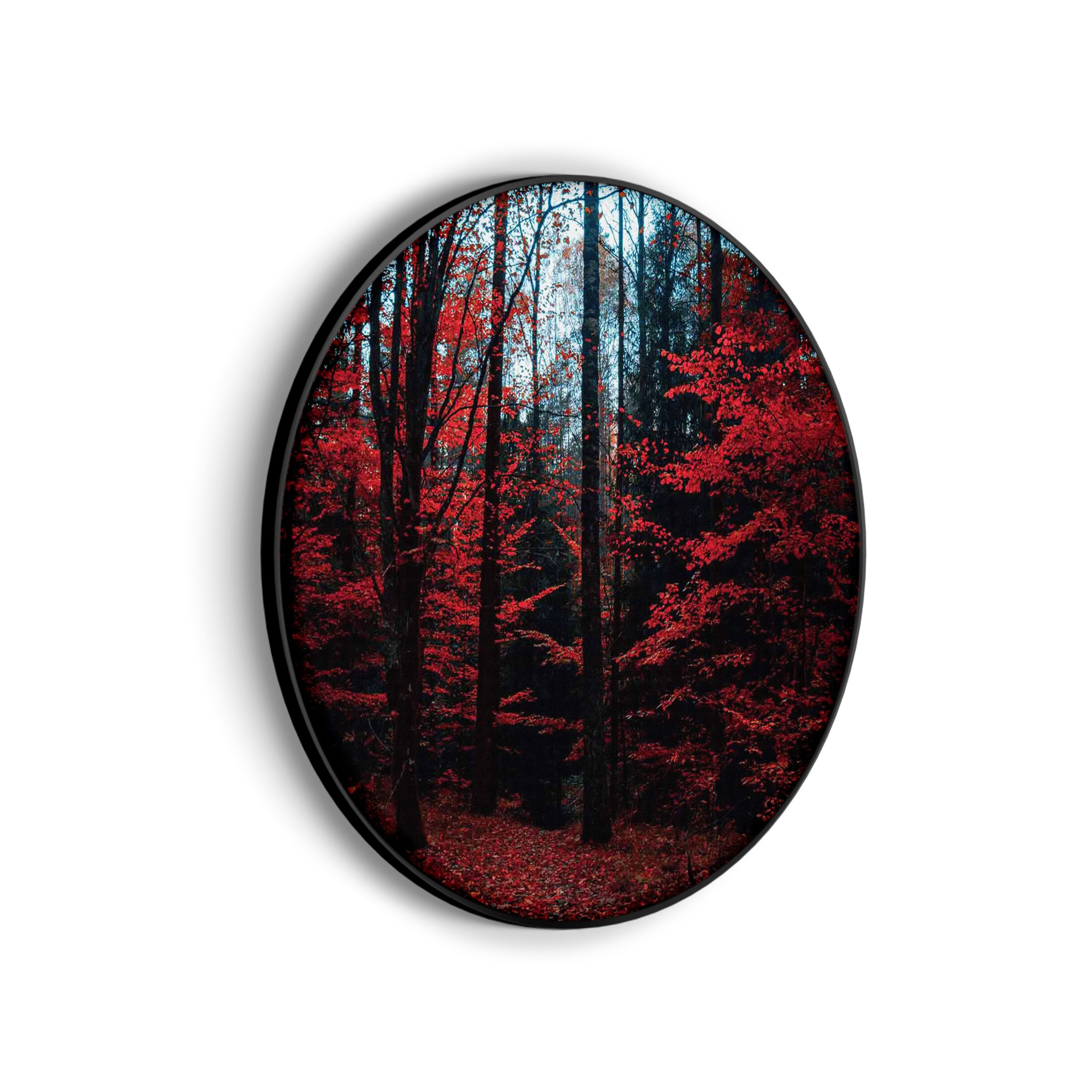 Akoestisch Schilderij Het rode bos Rond - Muurcirkel Template Vierkant Rond natuur 12 scaled 1