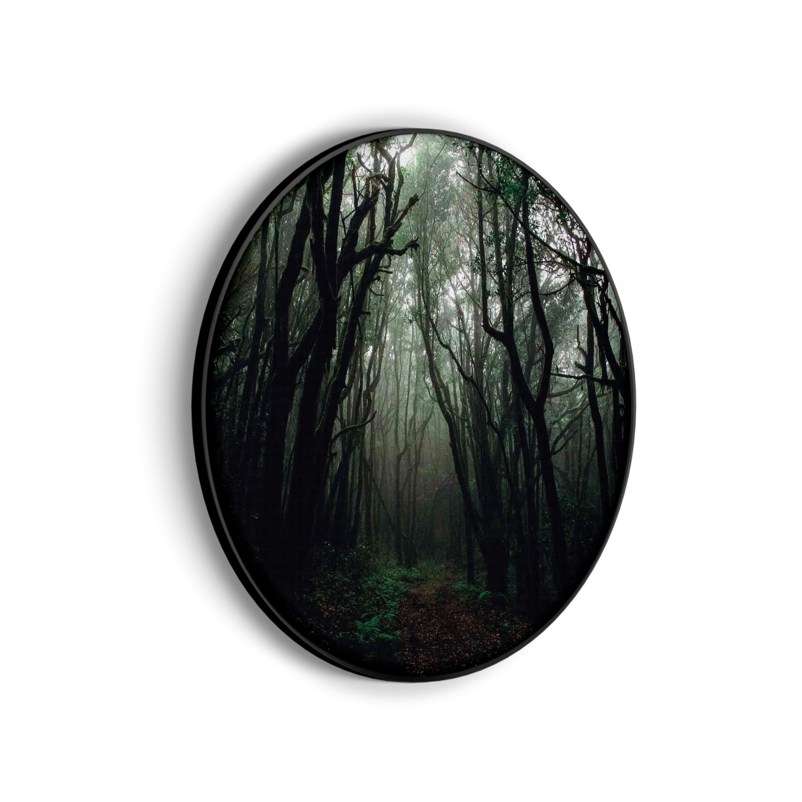 Akoestisch Schilderij Het Donkere Bos 2 Rond - Muurcirkel Template Vierkant Rond natuur 17 scaled 1