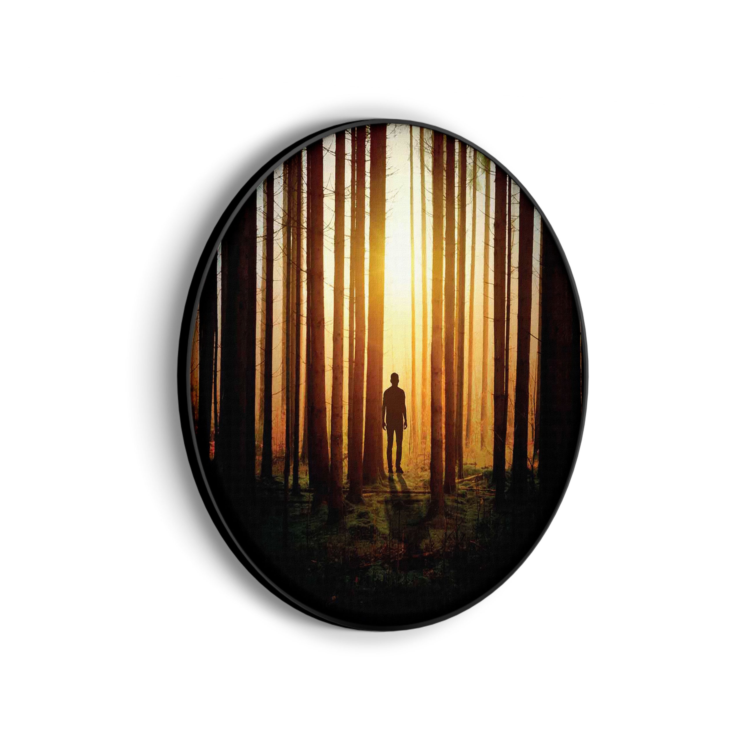 Akoestisch Schilderij De bomen door het bos Rond - Muurcirkel Template Vierkant Rond natuur 19 scaled 1