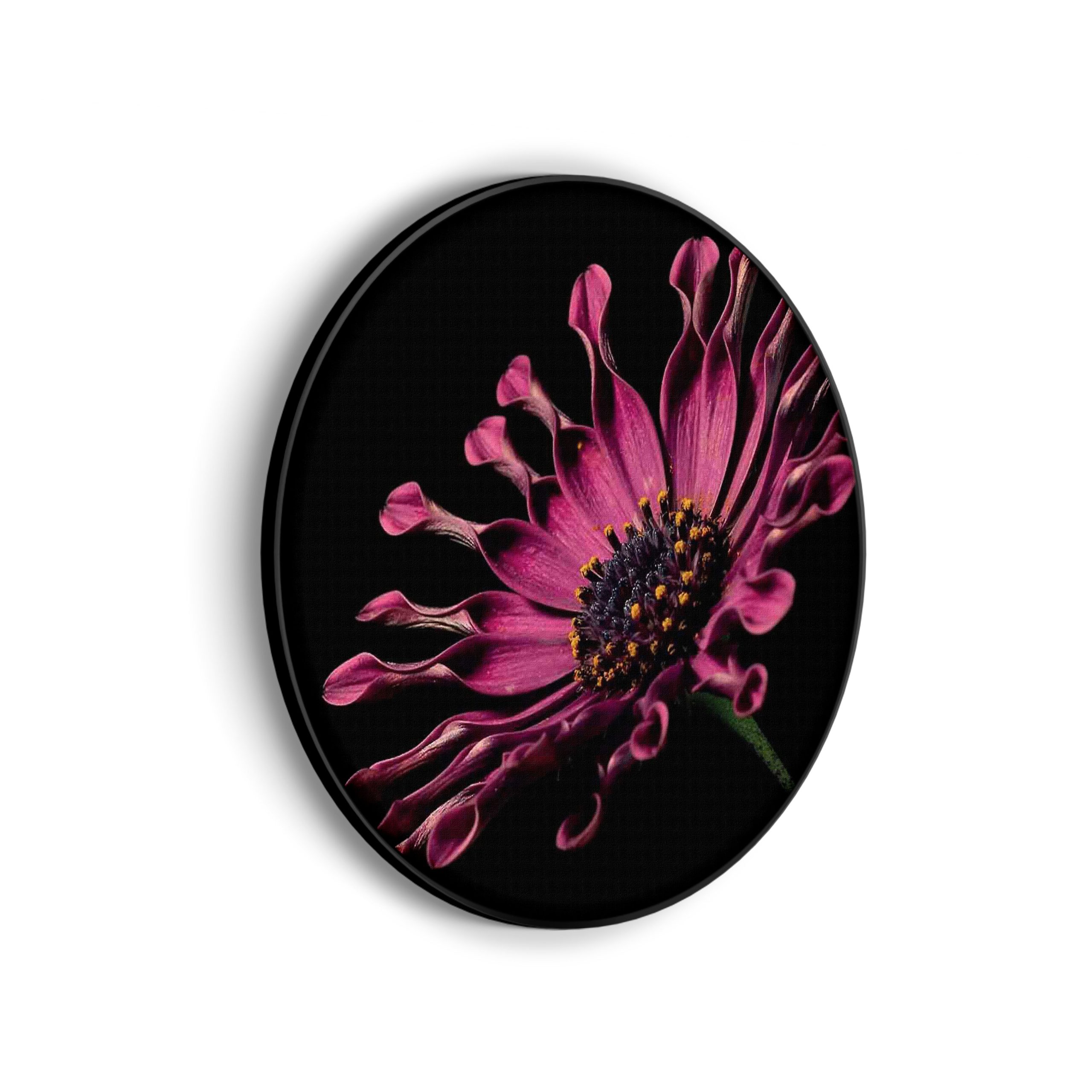 Template_Vierkant_Rond_natuur_22-scaled Akoestisch Schilderij Aster Bloem Rond - Muurcirkel Template Vierkant Rond natuur 22 scaled 1