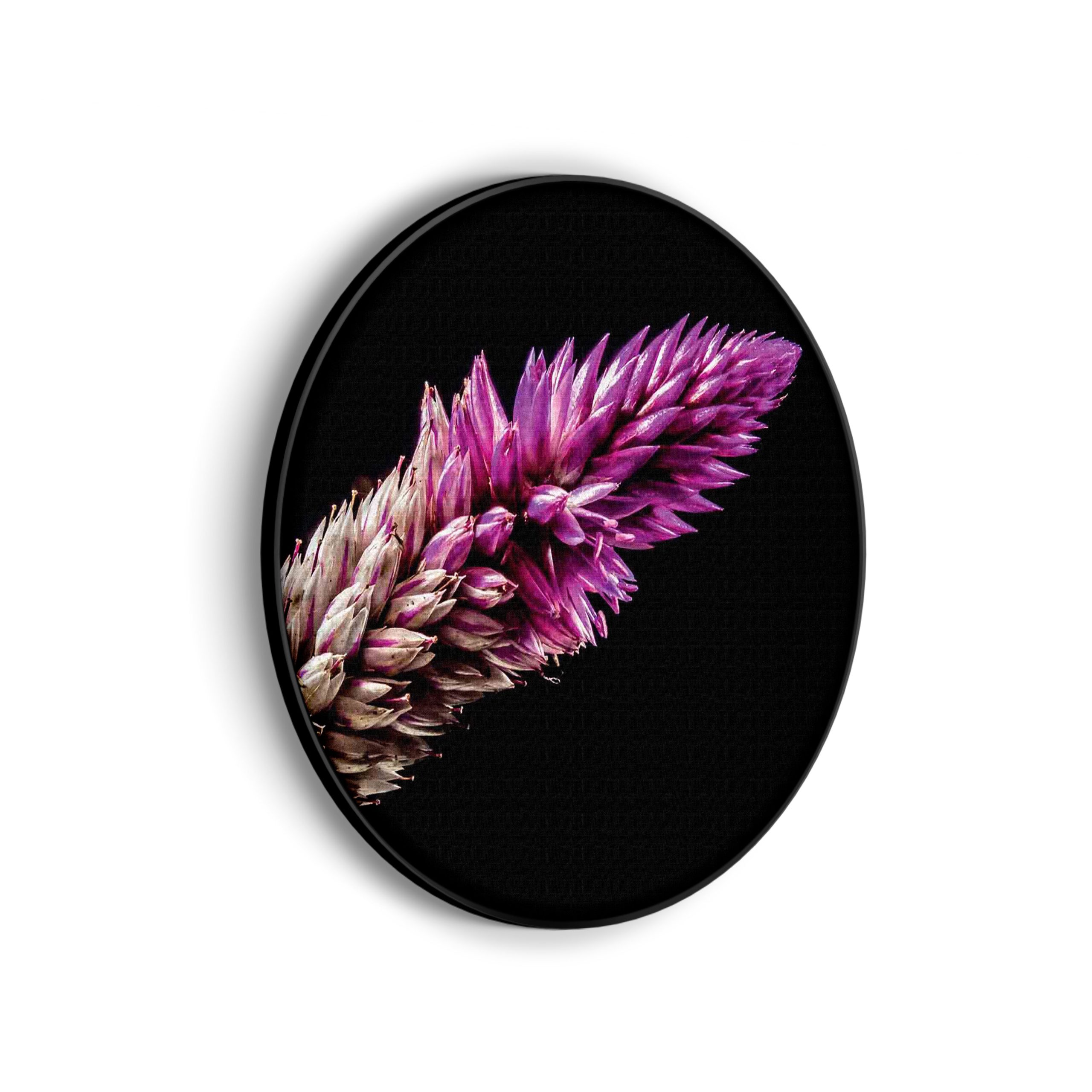 Akoestisch Schilderij De rivier van Zion Rond - Muurcirkel Template Vierkant Rond natuur 24 scaled 1