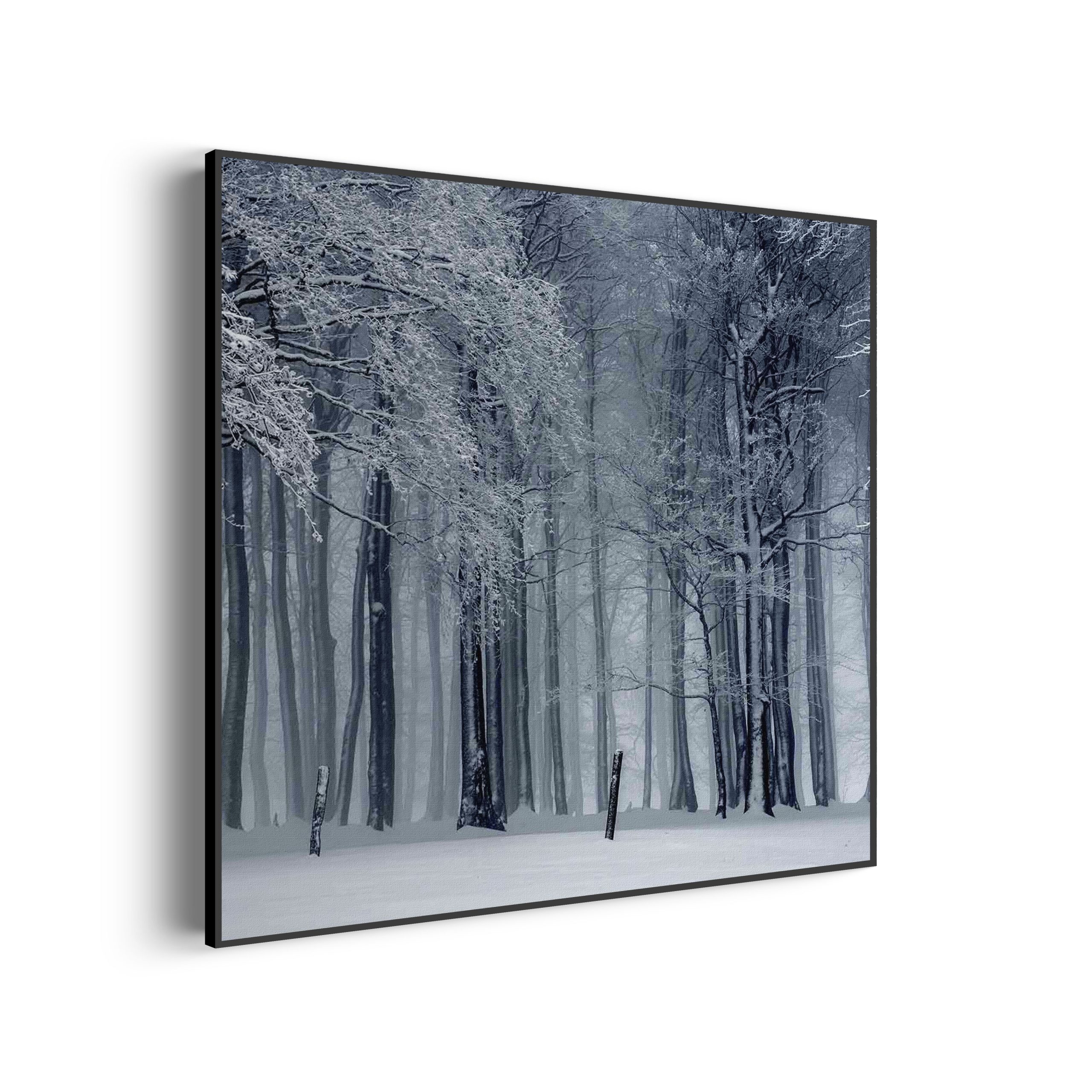 Akoestisch Schilderij Het winterse bos Vierkant Template Vierkant Rond natuur 27 scaled 2