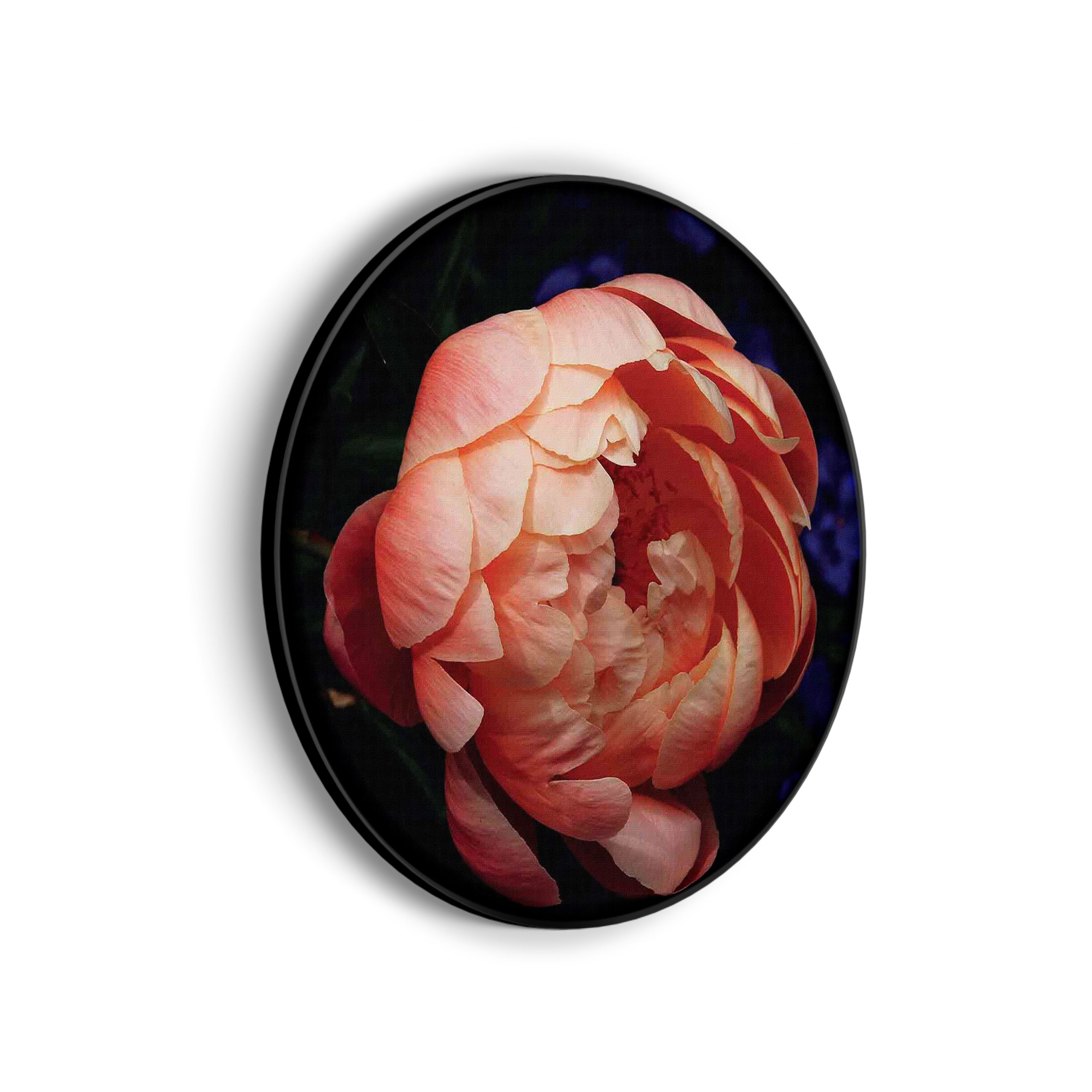 Akoestisch Schilderij Pioenroos Rond - Muurcirkel Template Vierkant Rond natuur 28 scaled 1