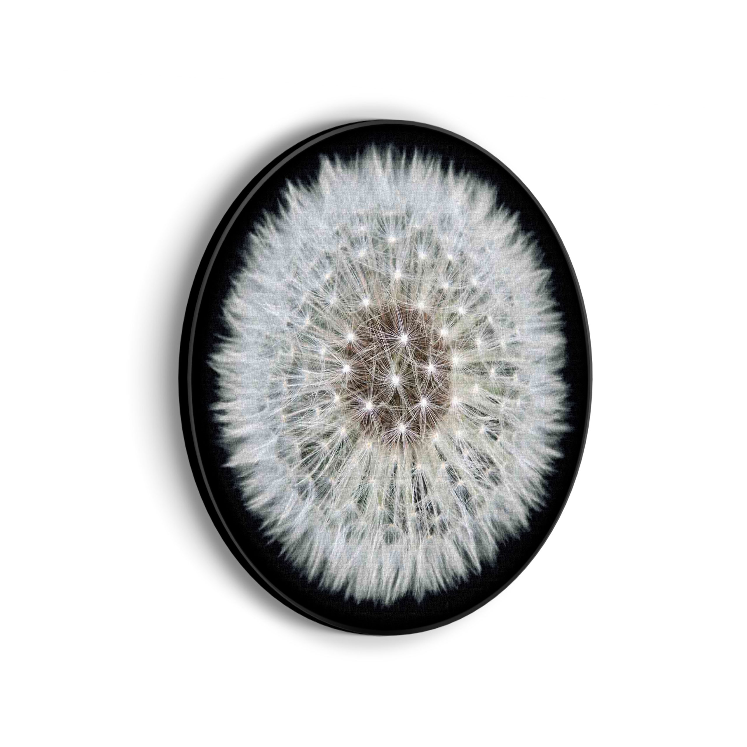 Akoestisch Schilderij De rivier van Zion Rond - Muurcirkel Template Vierkant Rond natuur 35 scaled 1