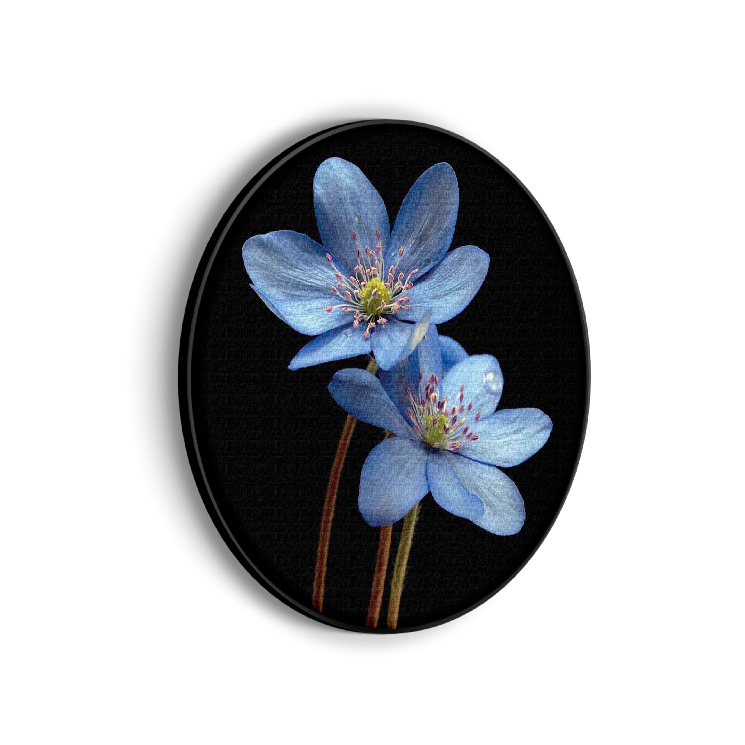 Akoestisch Schilderij De rivier van Zion Rond - Muurcirkel Template Vierkant Rond natuur 36 scaled 1