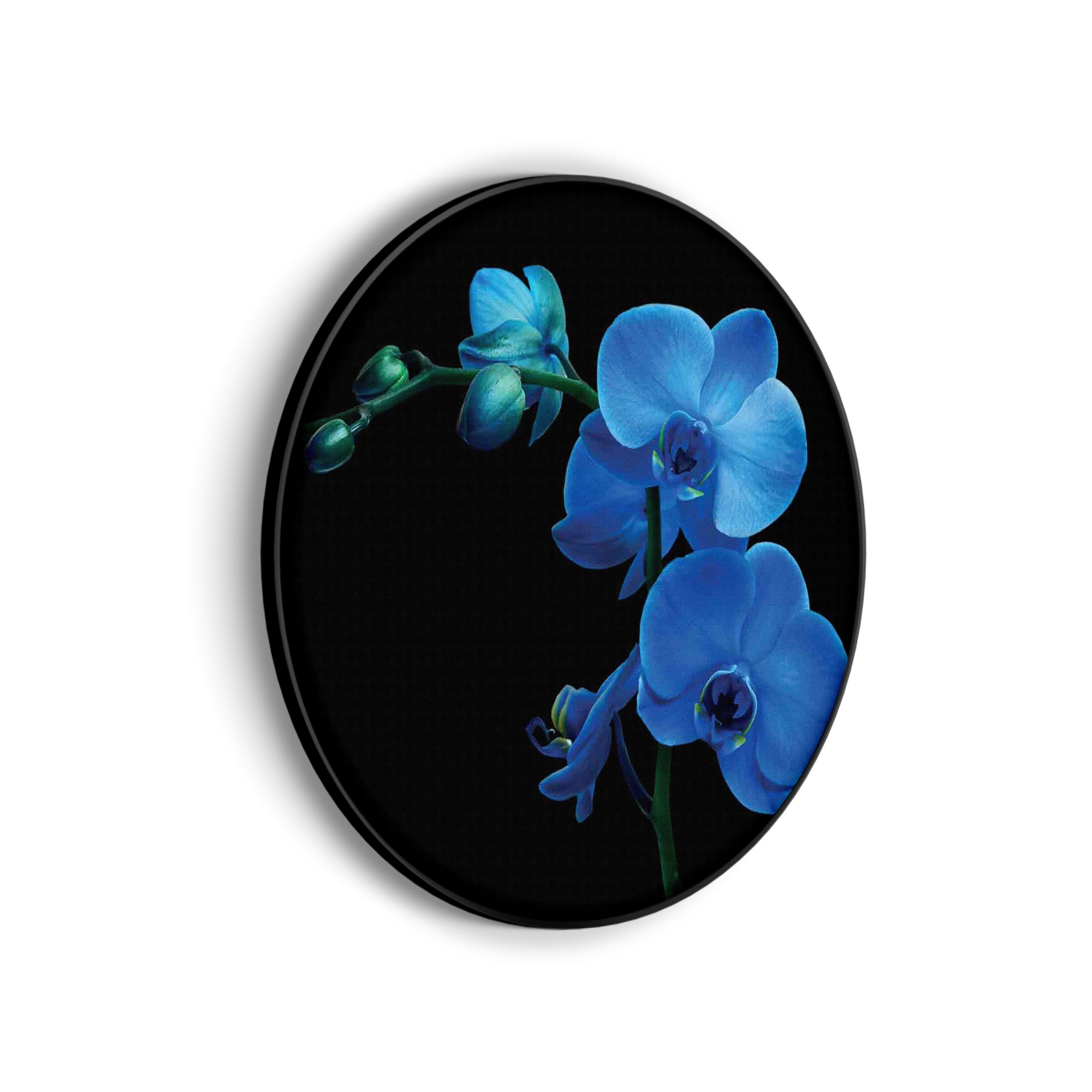 Akoestisch Schilderij De rivier van Zion Rond - Muurcirkel Template Vierkant Rond natuur 39 scaled 1