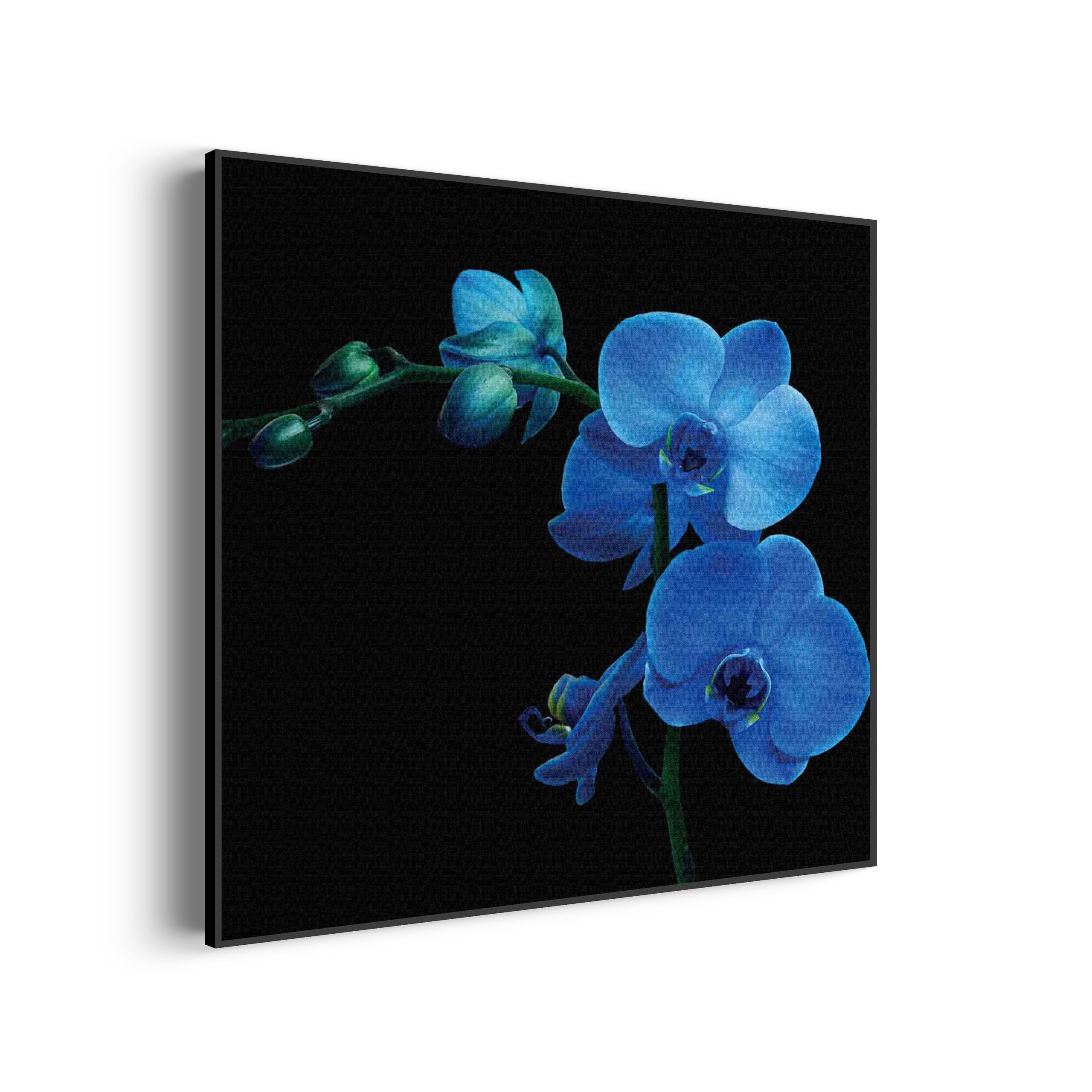 Akoestisch Schilderij Orchidee Vierkant Template Vierkant Rond natuur 39 scaled 2