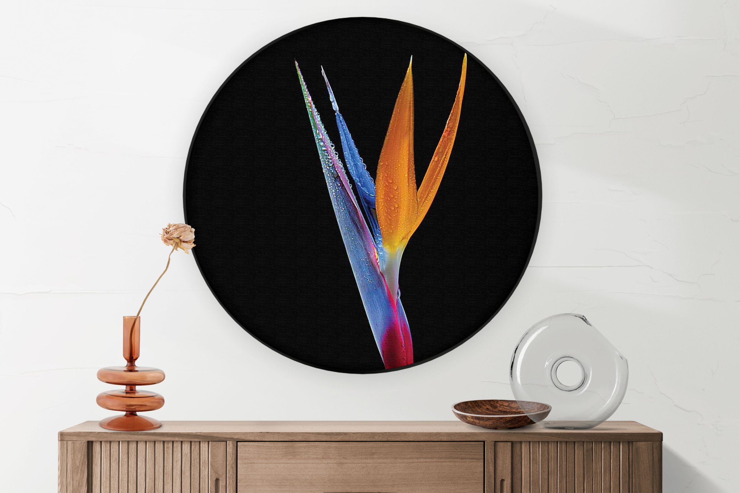 Akoestisch Schilderij Tropische Strelitzia Rond - Muurcirkel Template Vierkant Rond natuur 46 1 2 scaled 1