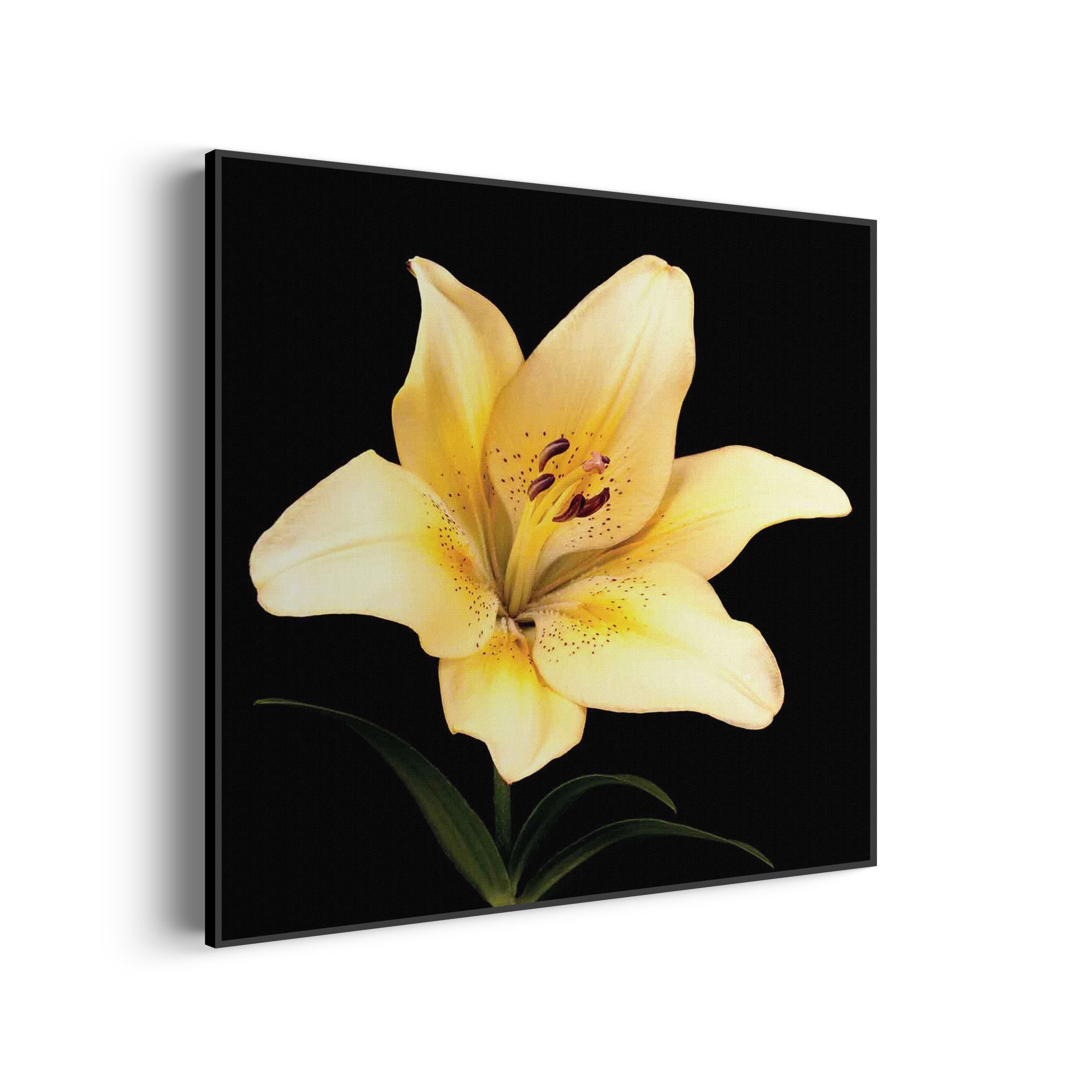 Akoestisch Schilderij Roze deuren Vierkant Template Vierkant Rond natuur 52 scaled 2