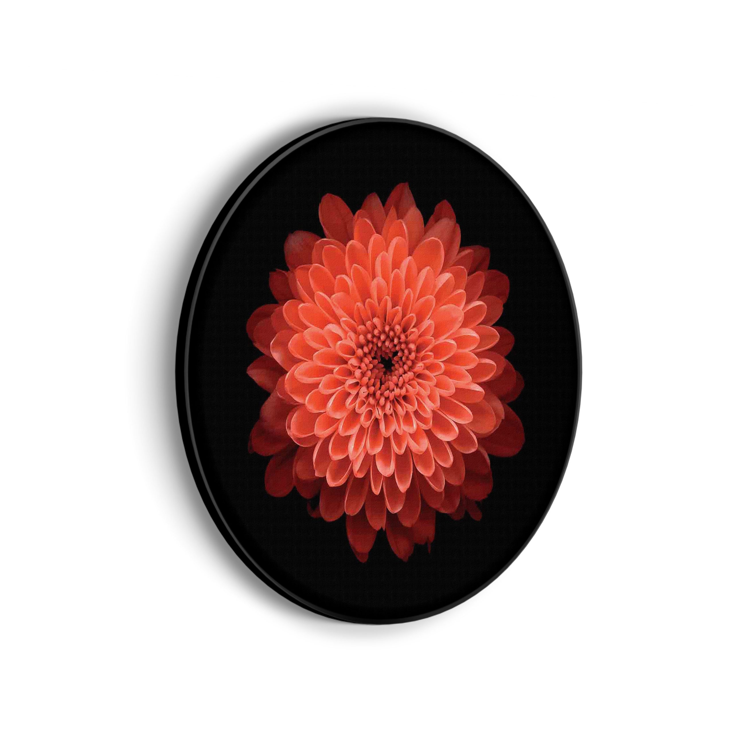 Template_Vierkant_Rond_natuur_53-scaled Akoestisch Schilderij Roze deuren Rond - Muurcirkel Template Vierkant Rond natuur 53 scaled 1