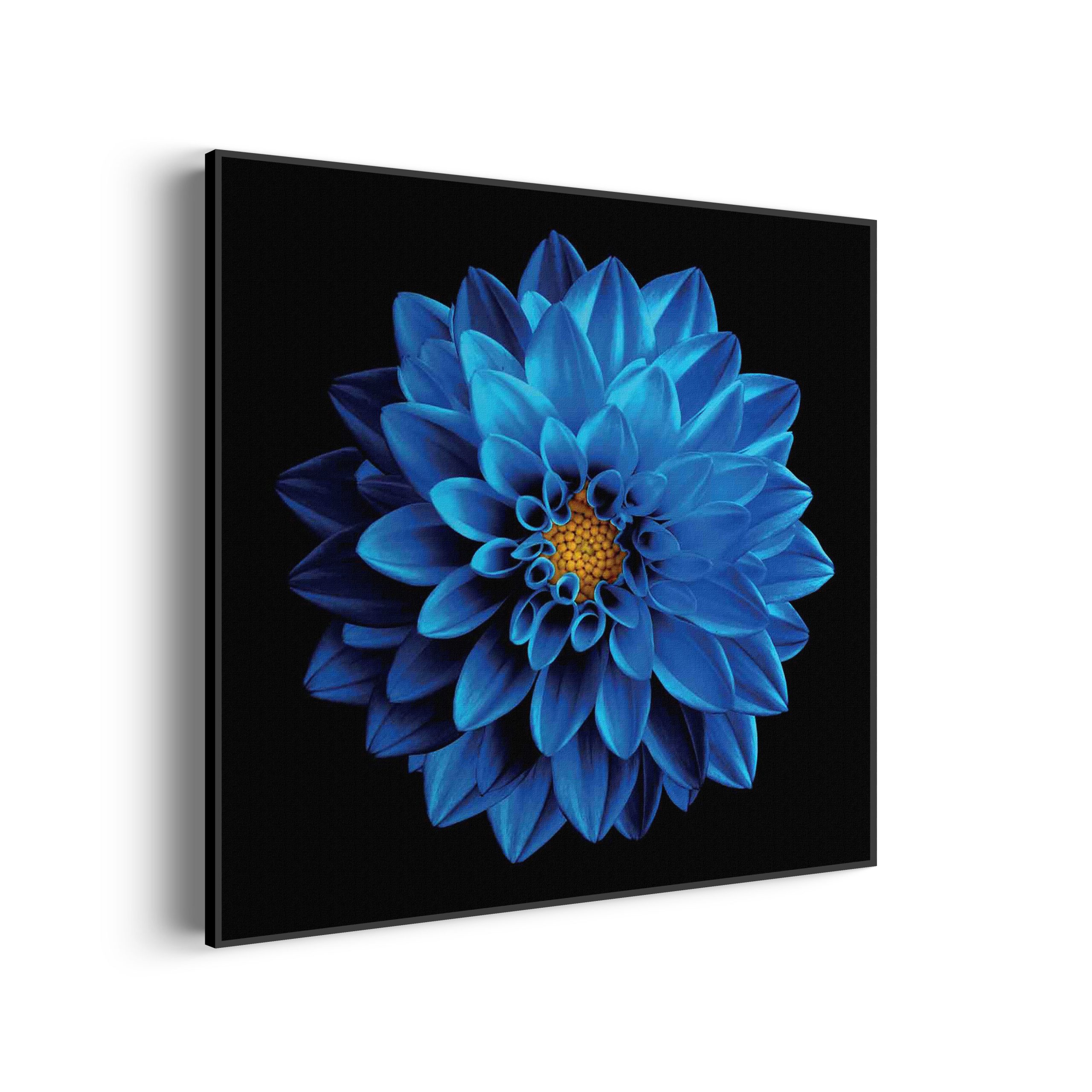 Akoestisch Schilderij Roze deuren Vierkant Template Vierkant Rond natuur 54 scaled 2