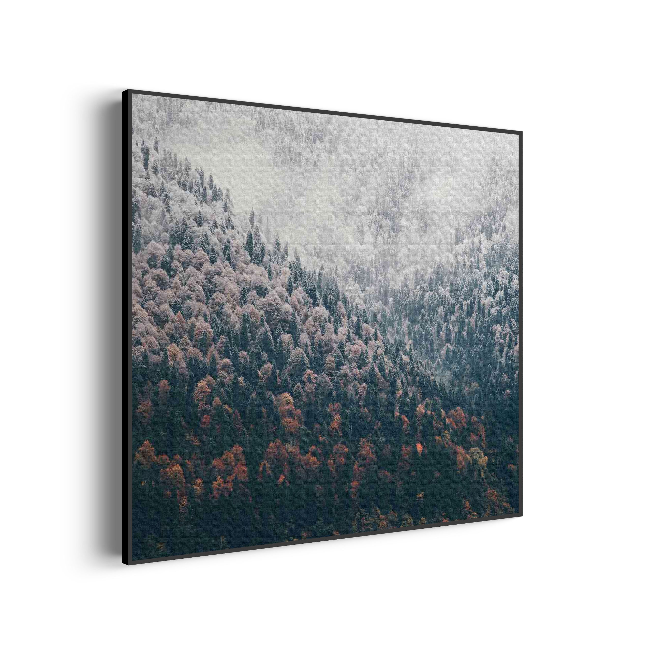 Akoestisch Schilderij Roze deuren Vierkant Template Vierkant Rond natuur 59 scaled 2