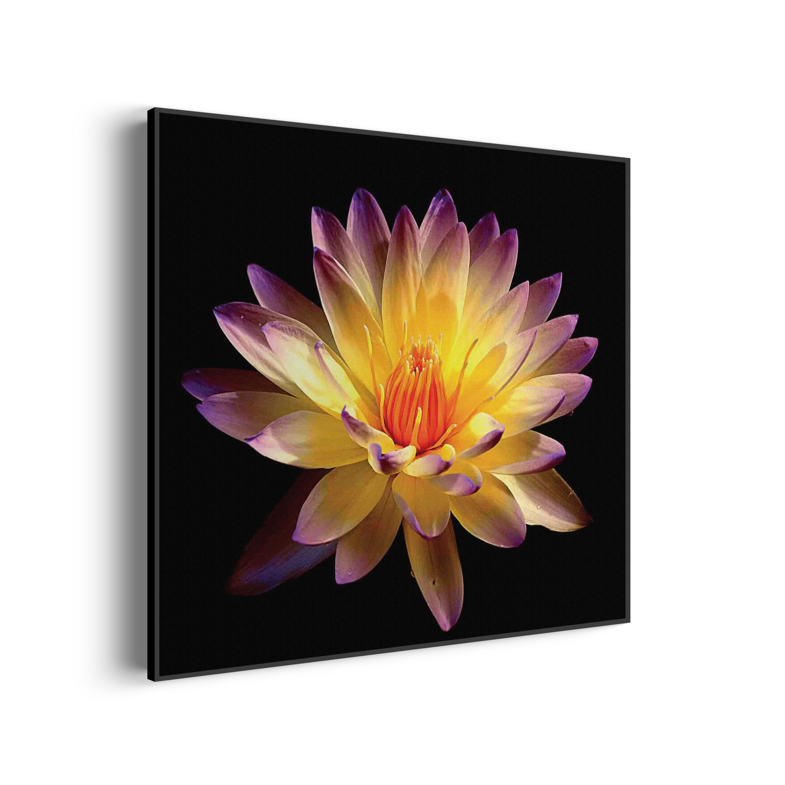 Akoestisch Schilderij Roze deuren Vierkant Template Vierkant Rond natuur 60 scaled 2