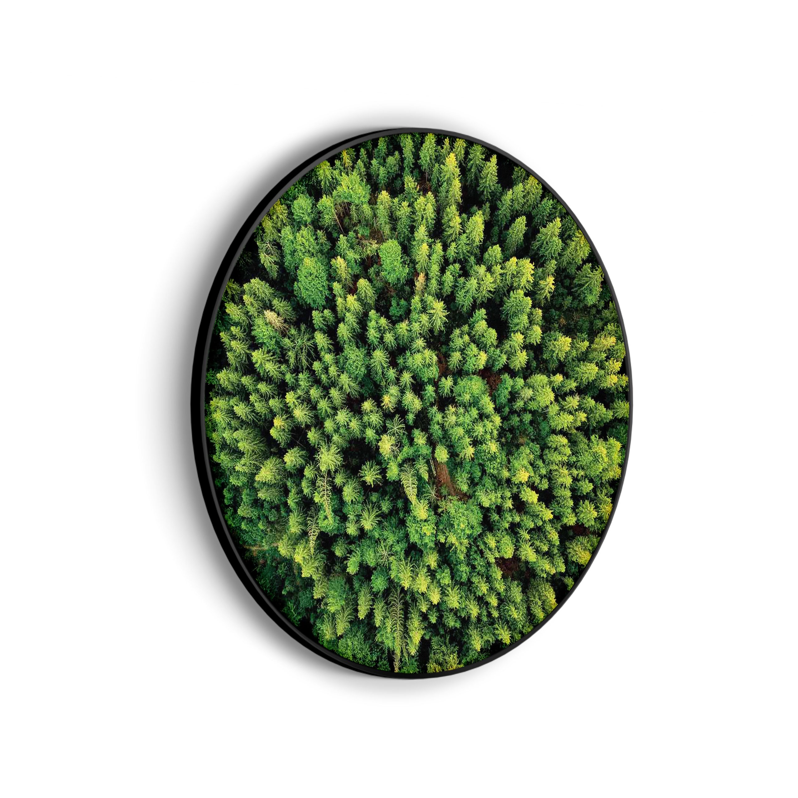 Template_Vierkant_Rond_natuur_64-scaled Akoestisch Schilderij Roze deuren Rond - Muurcirkel Template Vierkant Rond natuur 64 scaled 1
