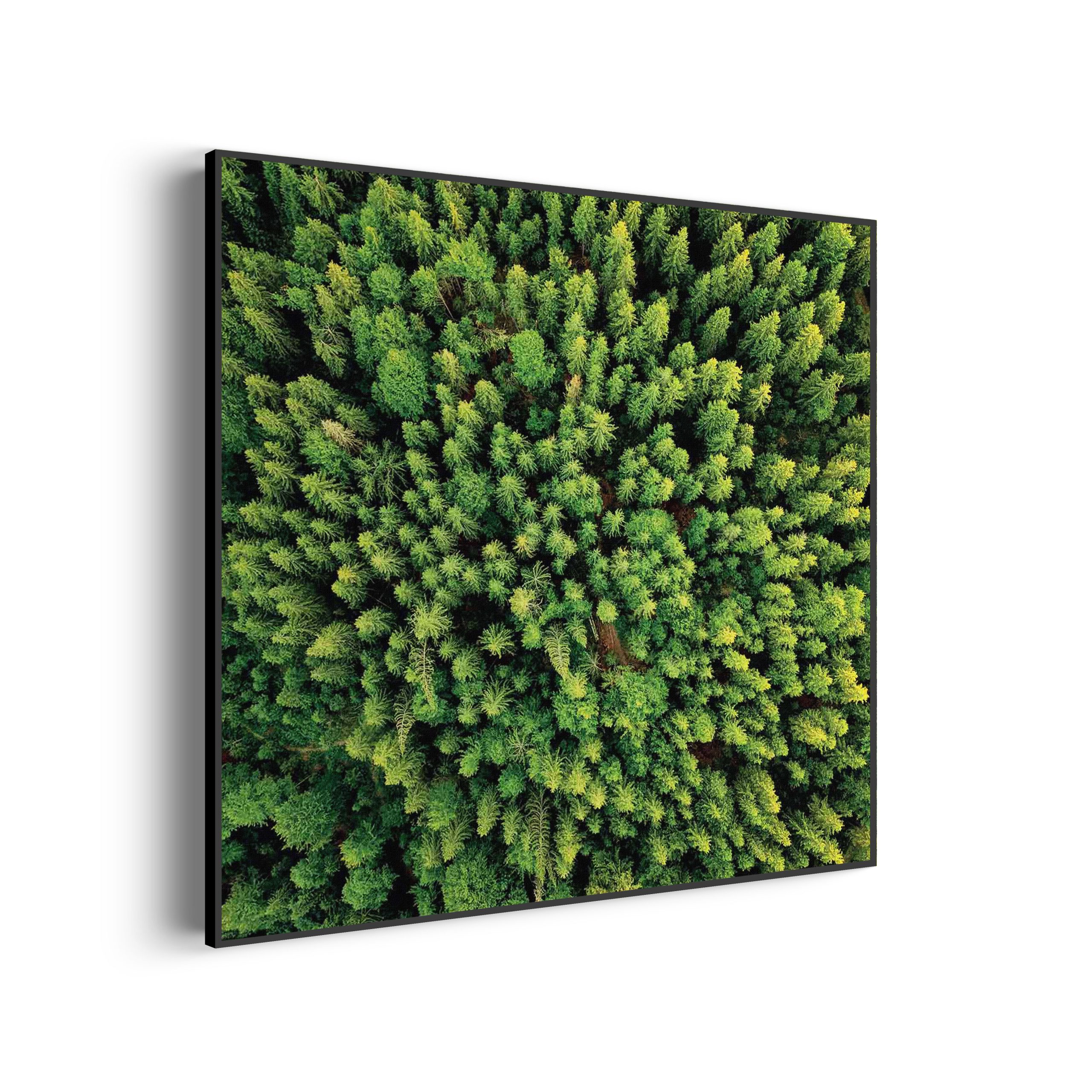 Akoestisch Schilderij Winter is coming Vierkant Template Vierkant Rond natuur 64 scaled 2