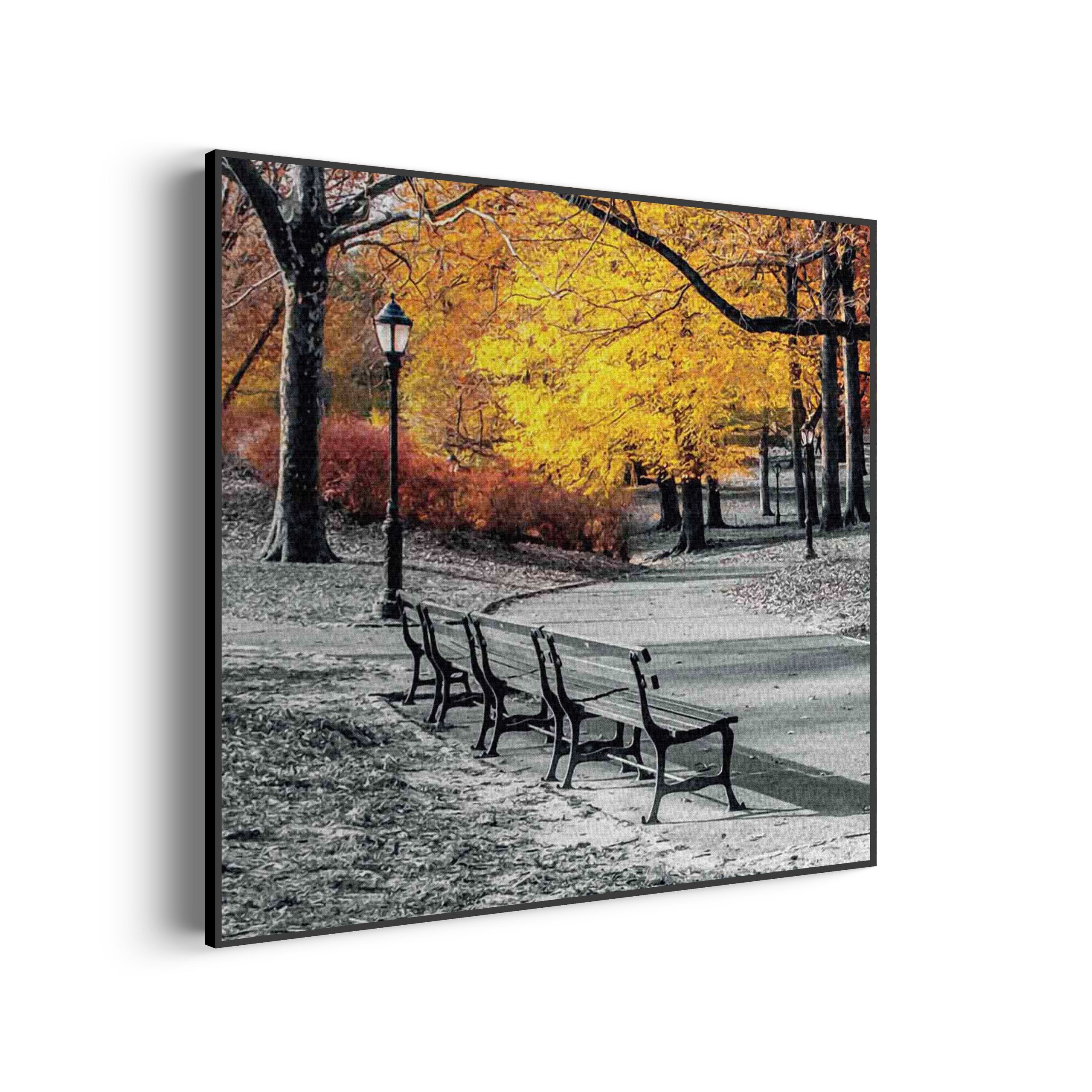 Akoestisch Schilderij Gele herfst Vierkant Template Vierkant Rond natuur 8 scaled 2