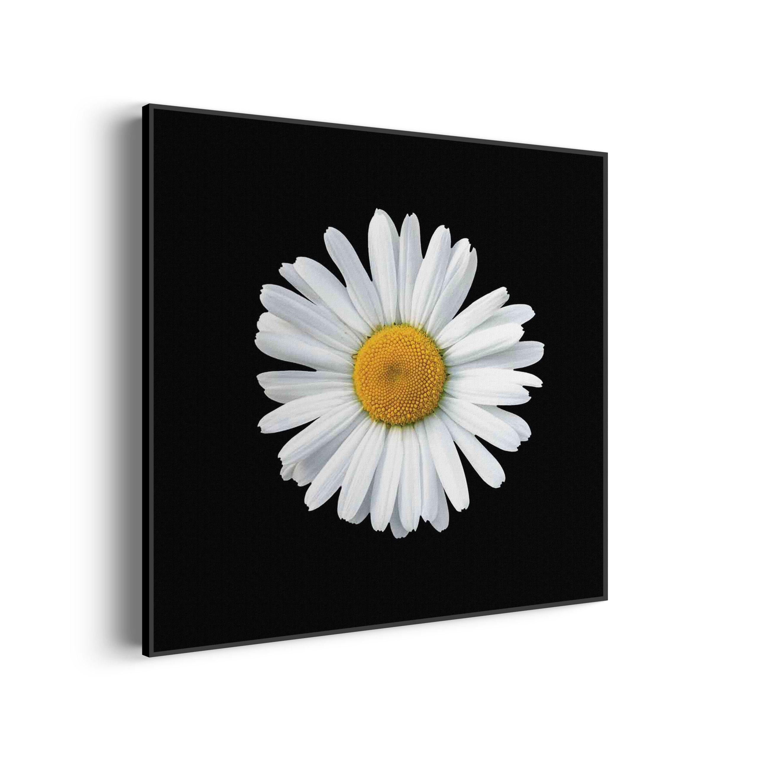 Akoestisch Schilderij Magriet Vierkant Template Vierkant Rond natuur 80 1 3 scaled 1