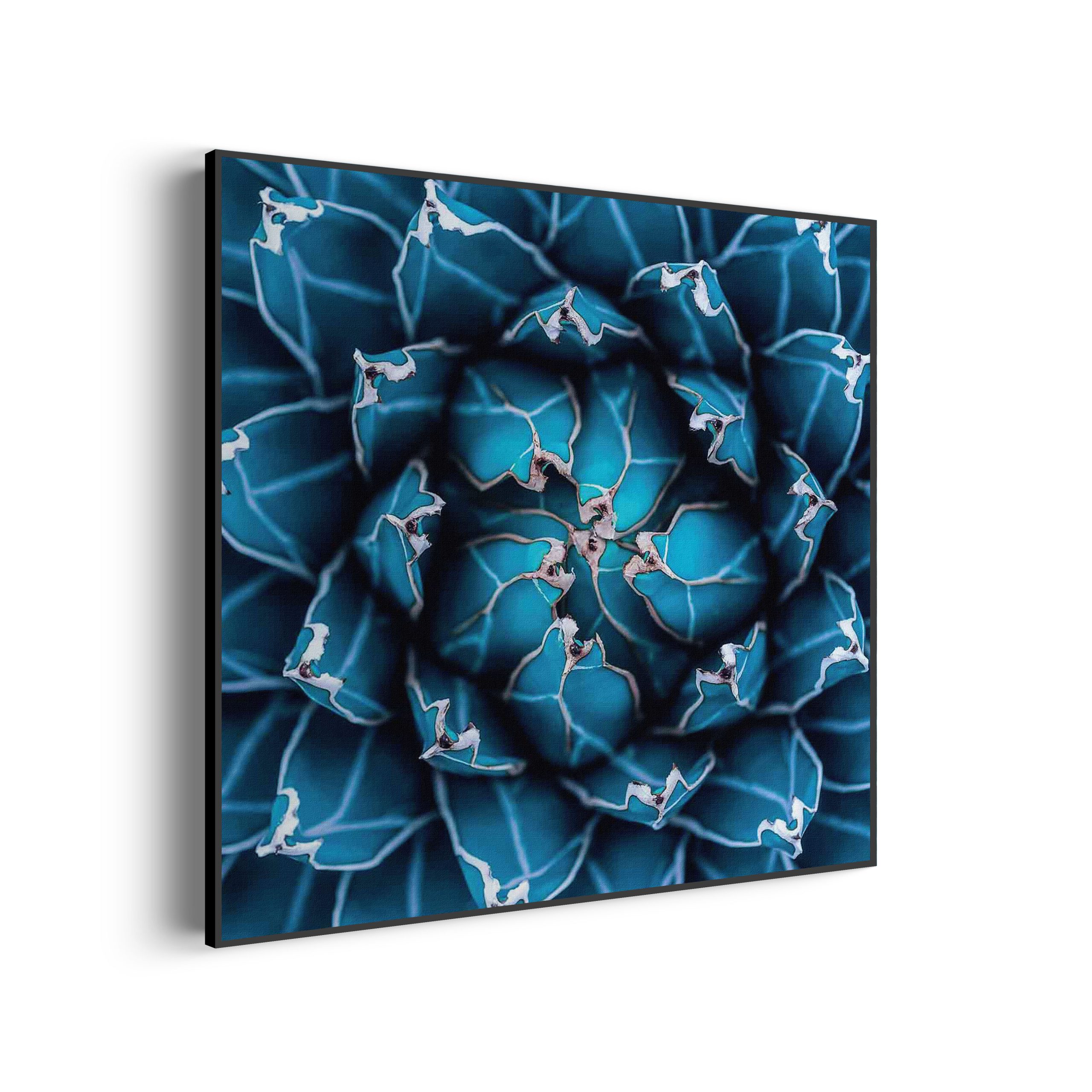 Akoestisch Schilderij Kleurrijke bloem 1 Vierkant Template Vierkant Rond natuur 92 1 2 scaled 1