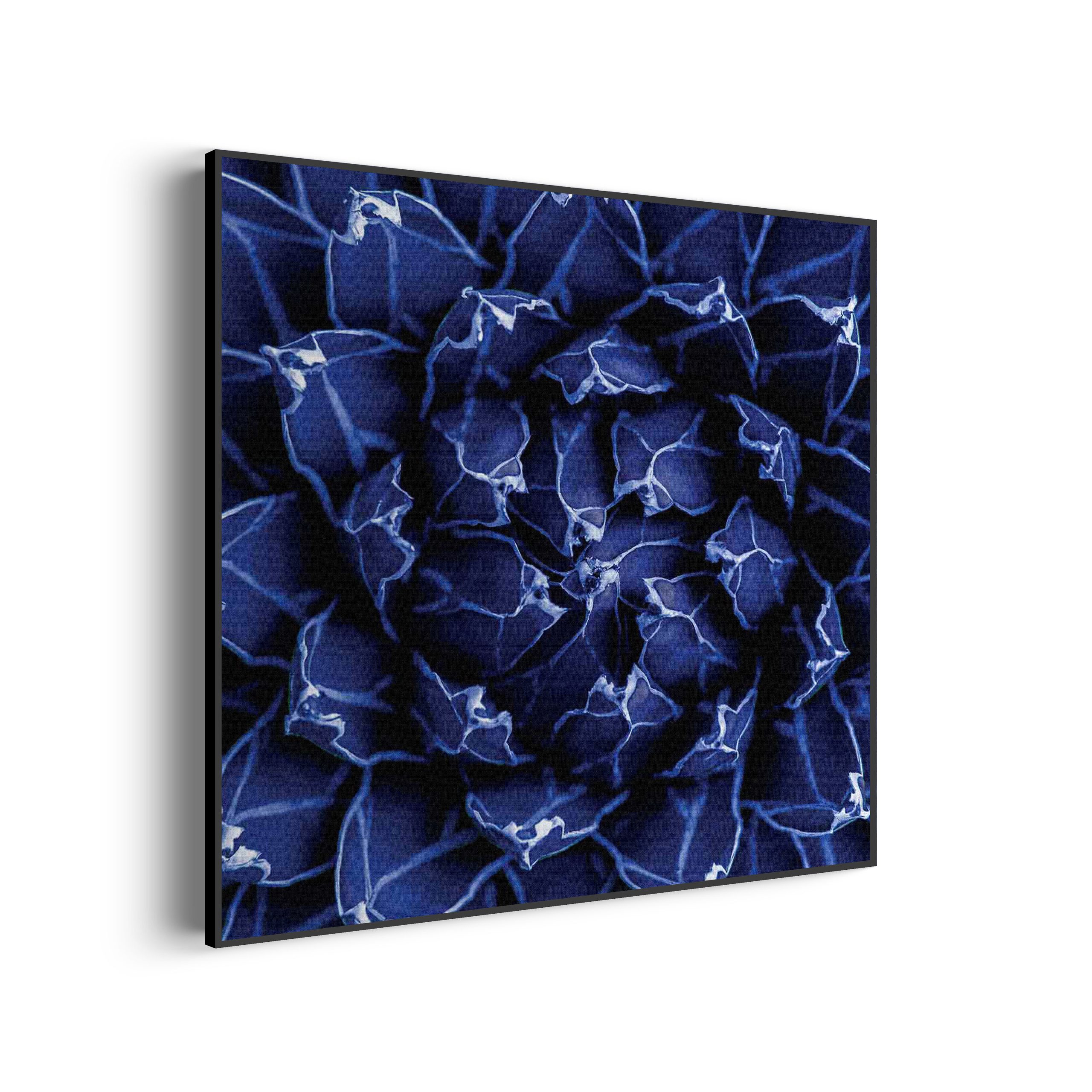 Akoestisch Schilderij Kleurrijke bloem 2 Vierkant Template Vierkant Rond natuur 93 1 2 scaled 1