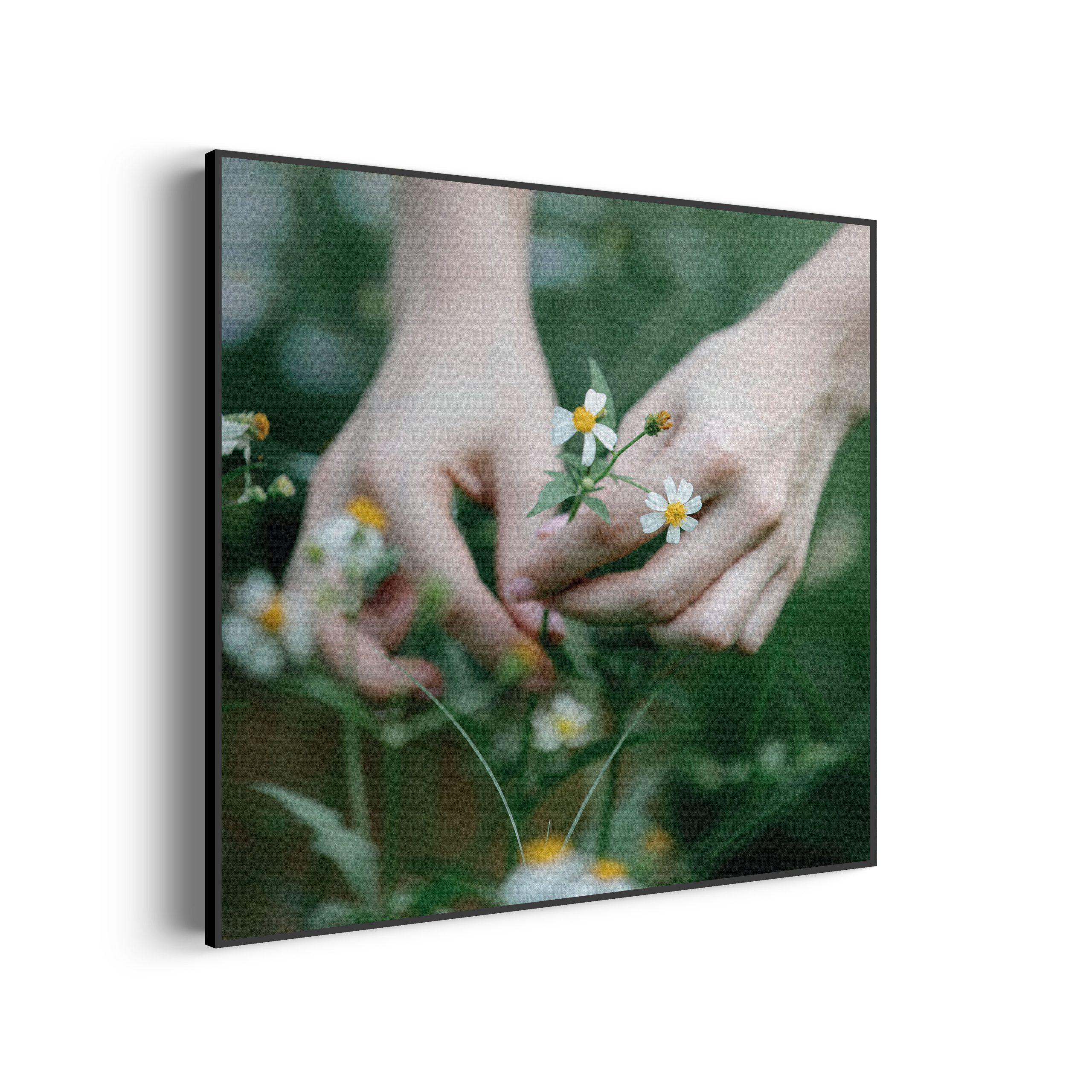 Template_Vierkant_Rond_romantisch_5-3-scaled Akoestisch Schilderij Pluk De Dag Vierkant Template Vierkant Rond romantisch 5 3 scaled 1