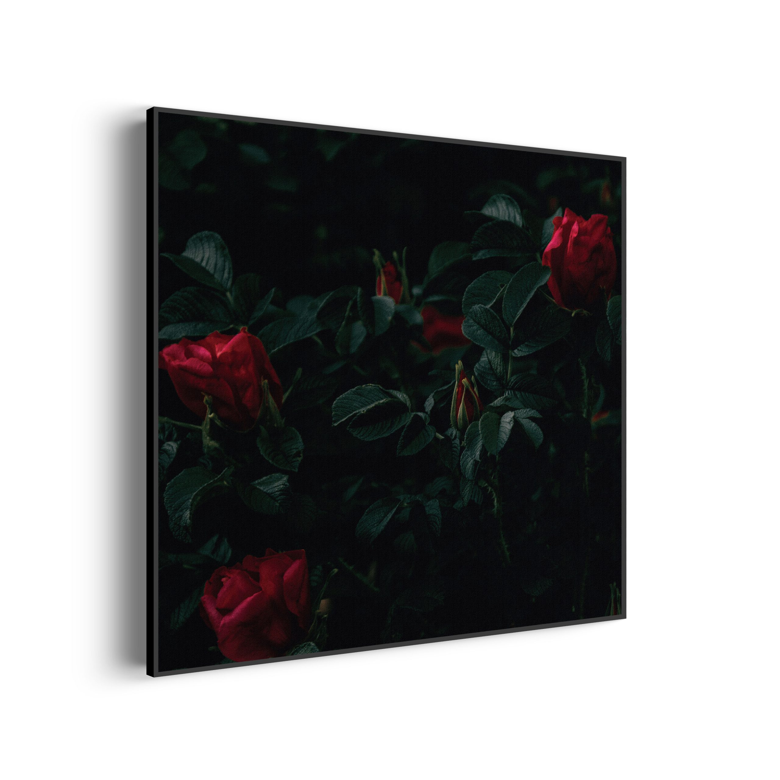 Template_Vierkant_Rond_romantisch_6-3-scaled Akoestisch Schilderij Romantische Rozen Vierkant Template Vierkant Rond romantisch 6 3 scaled 1