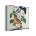 Akoestisch Schilderij Prent Natuur Vogel en Bloemen 01 Vierkant Template Vierkant Rond vintage 1 1 3 scaled 1