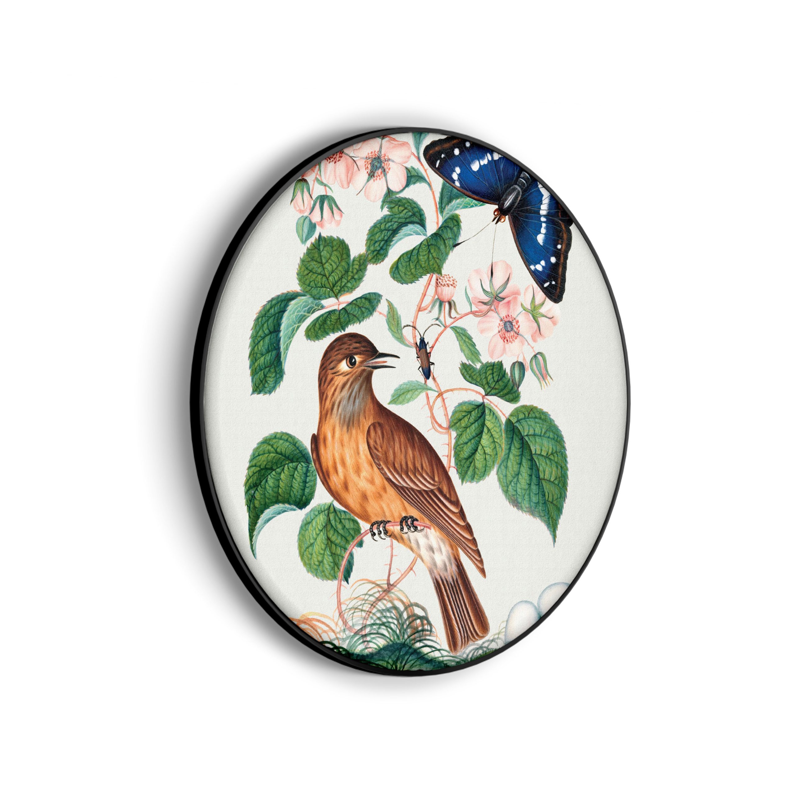 Template_Vierkant_Rond_vintage_1-scaled Akoestisch Schilderij Prent Natuur Vogel en Bloemen 01 Rond - Muurcirkel Template Vierkant Rond vintage 1 scaled 1