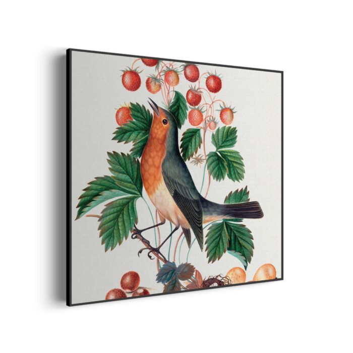 Akoestisch Schilderij Prent Natuur Vogel en Bloemen 11 Vierkant Template Vierkant Rond vintage 11 1 3 scaled 1