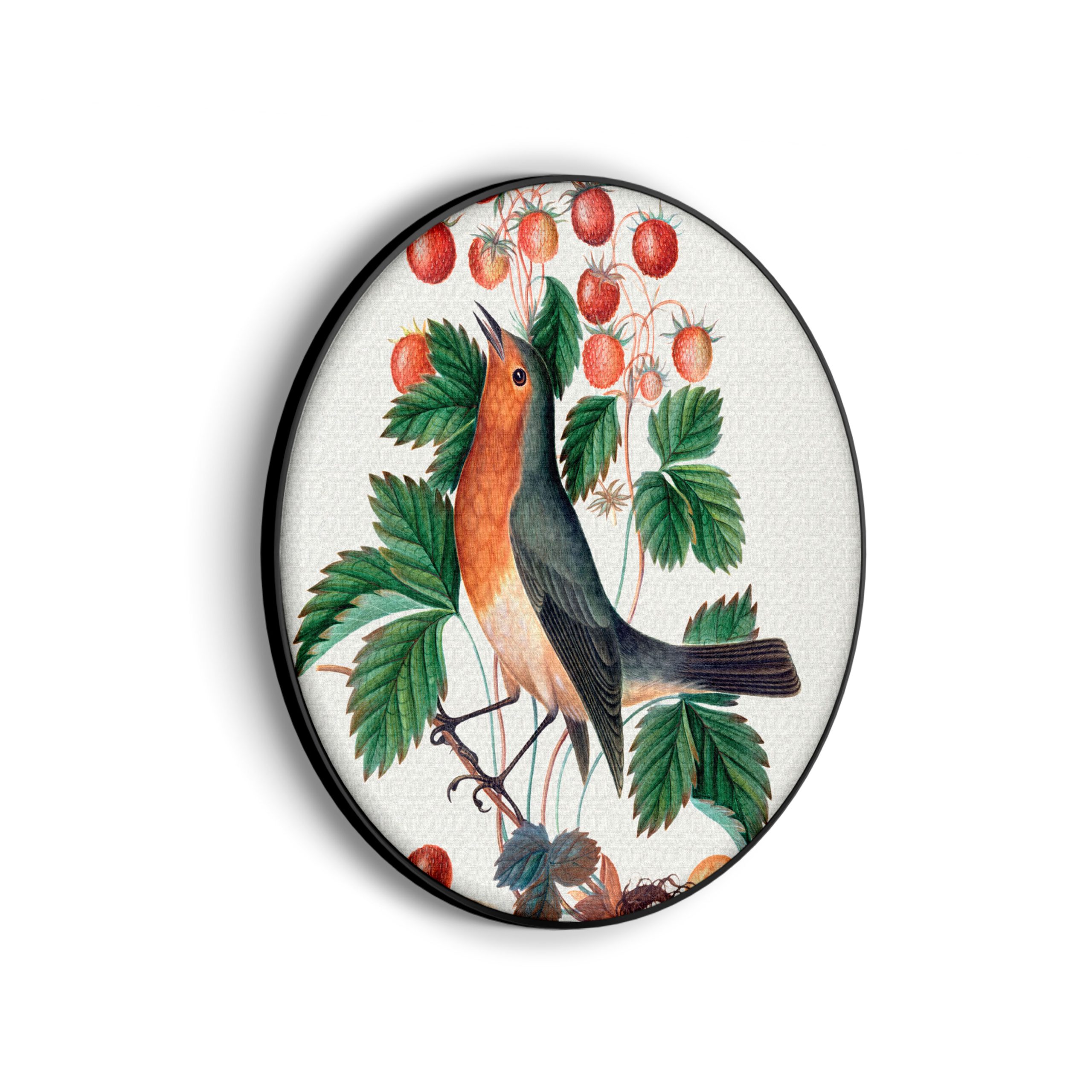 Template_Vierkant_Rond_vintage_11-scaled Akoestisch Schilderij Prent Natuur Vogel en Bloemen 01 Rond - Muurcirkel Template Vierkant Rond vintage 11 scaled 1