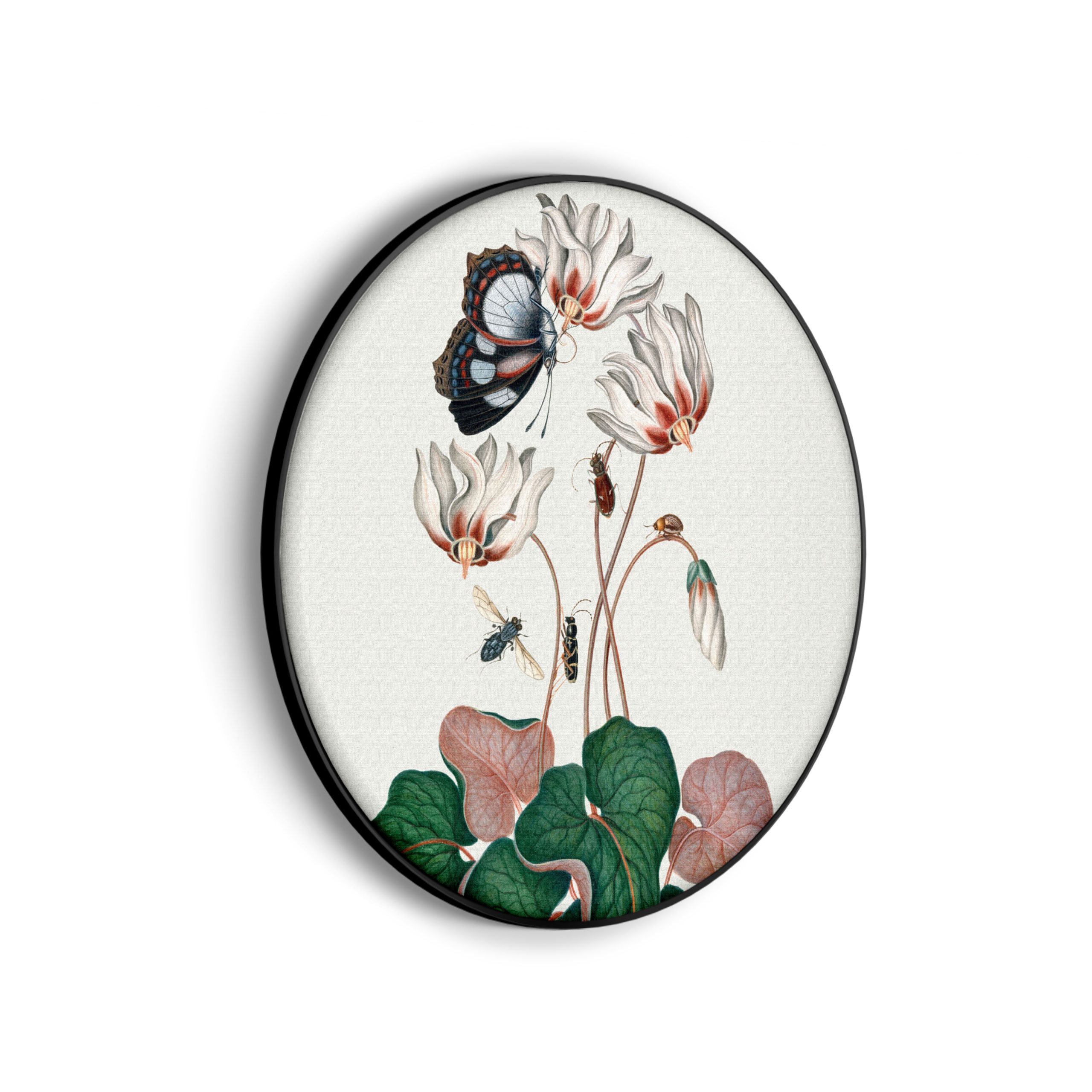 Template_Vierkant_Rond_vintage_12-scaled Akoestisch Schilderij Prent Natuur Vogel en Bloemen 01 Rond - Muurcirkel Template Vierkant Rond vintage 12 scaled 1