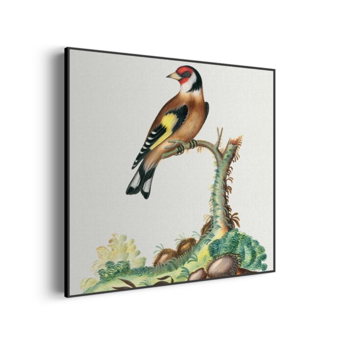 Akoestisch Schilderij Prent Natuur Vogel en Bloemen 01 Vierkant Template Vierkant Rond vintage 15 1 3 scaled 1
