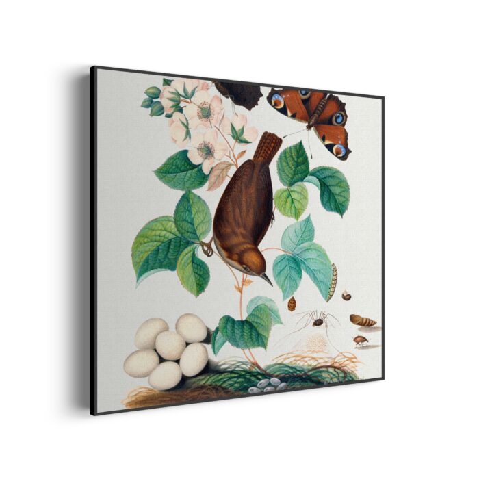 Akoestisch Schilderij Prent Natuur Vogel en Bloemen 01 Vierkant Template Vierkant Rond vintage 3 1 3 scaled 1