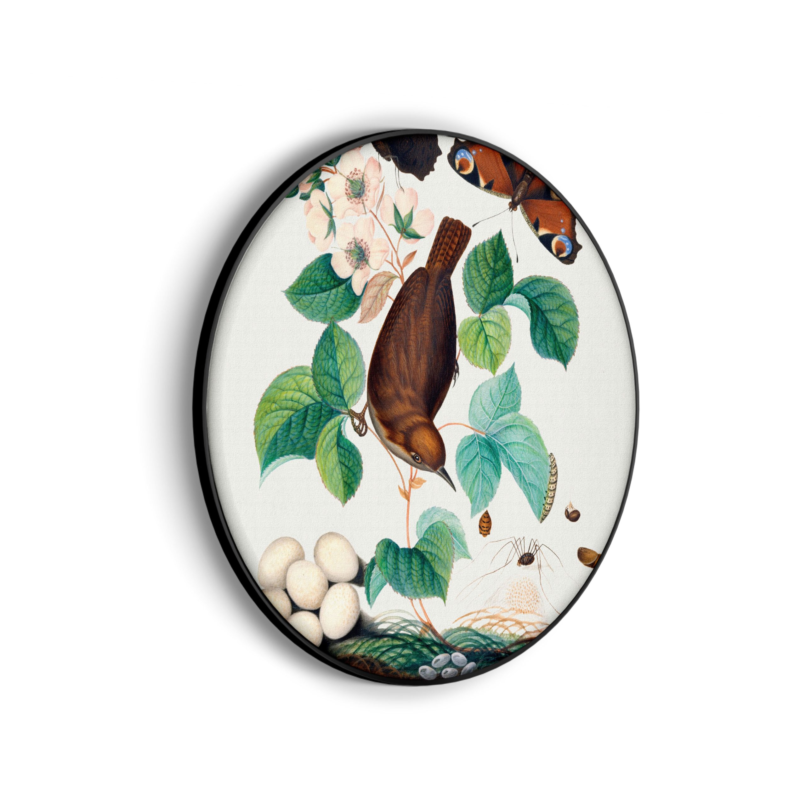 Template_Vierkant_Rond_vintage_3-scaled Akoestisch Schilderij Prent Natuur Vogel en Bloemen 03 Rond - Muurcirkel Template Vierkant Rond vintage 3 scaled 1