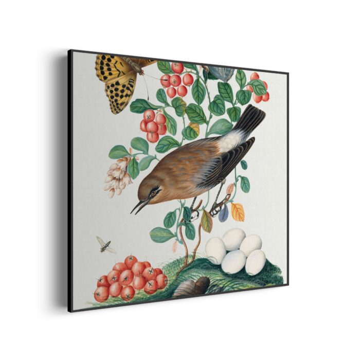 Akoestisch Schilderij Prent Natuur Vogel en Bloemen 05 Vierkant Template Vierkant Rond vintage 5 1 3 scaled 1